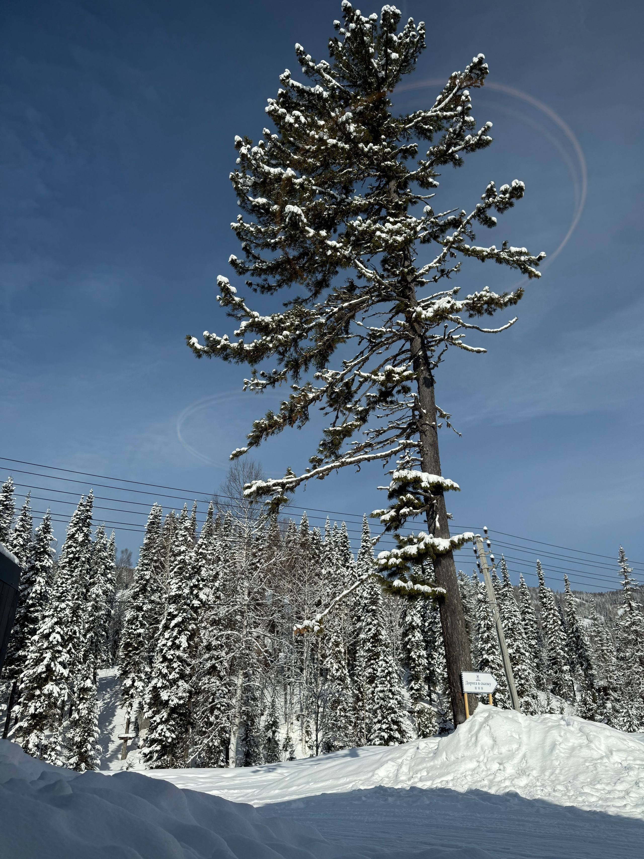 Фотограф и художник в Москве Евгения Нюнина