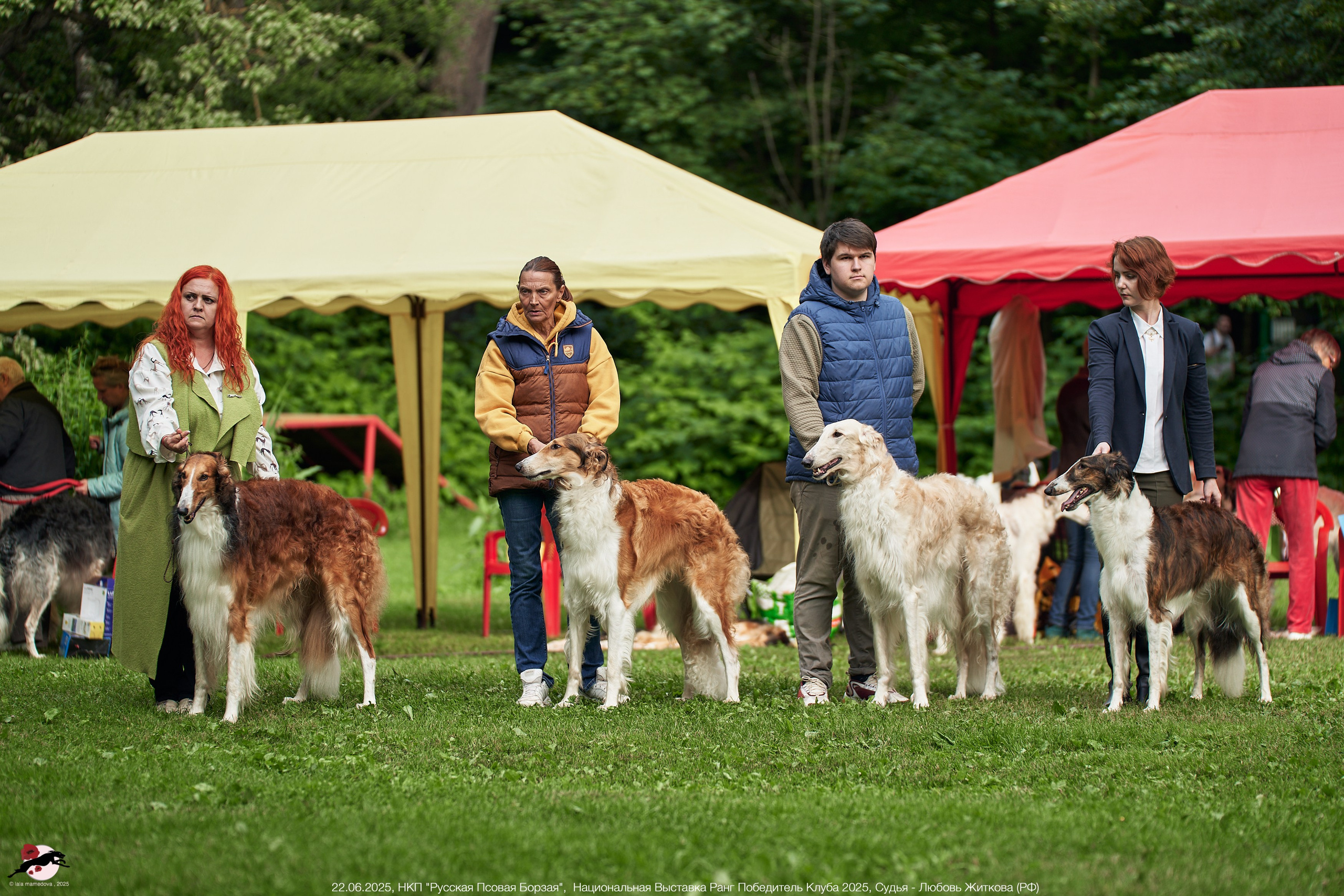 22.06.2025 | Национальная Выставка НКП "Русская Псовая Борзая"