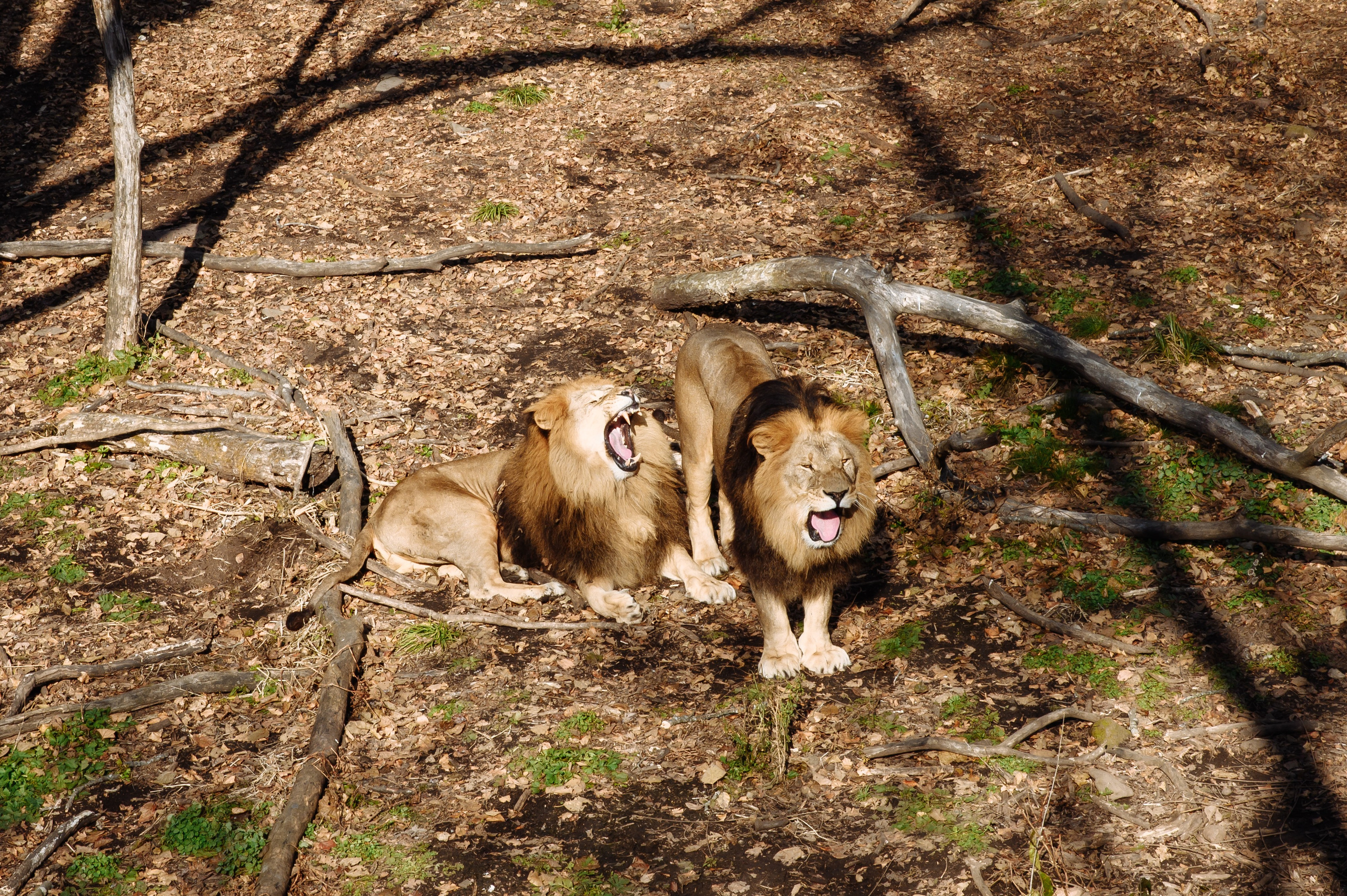Владивосток и Китай (Яньцзы). Портретный фотограф Москва, репортаж и естественная постановка