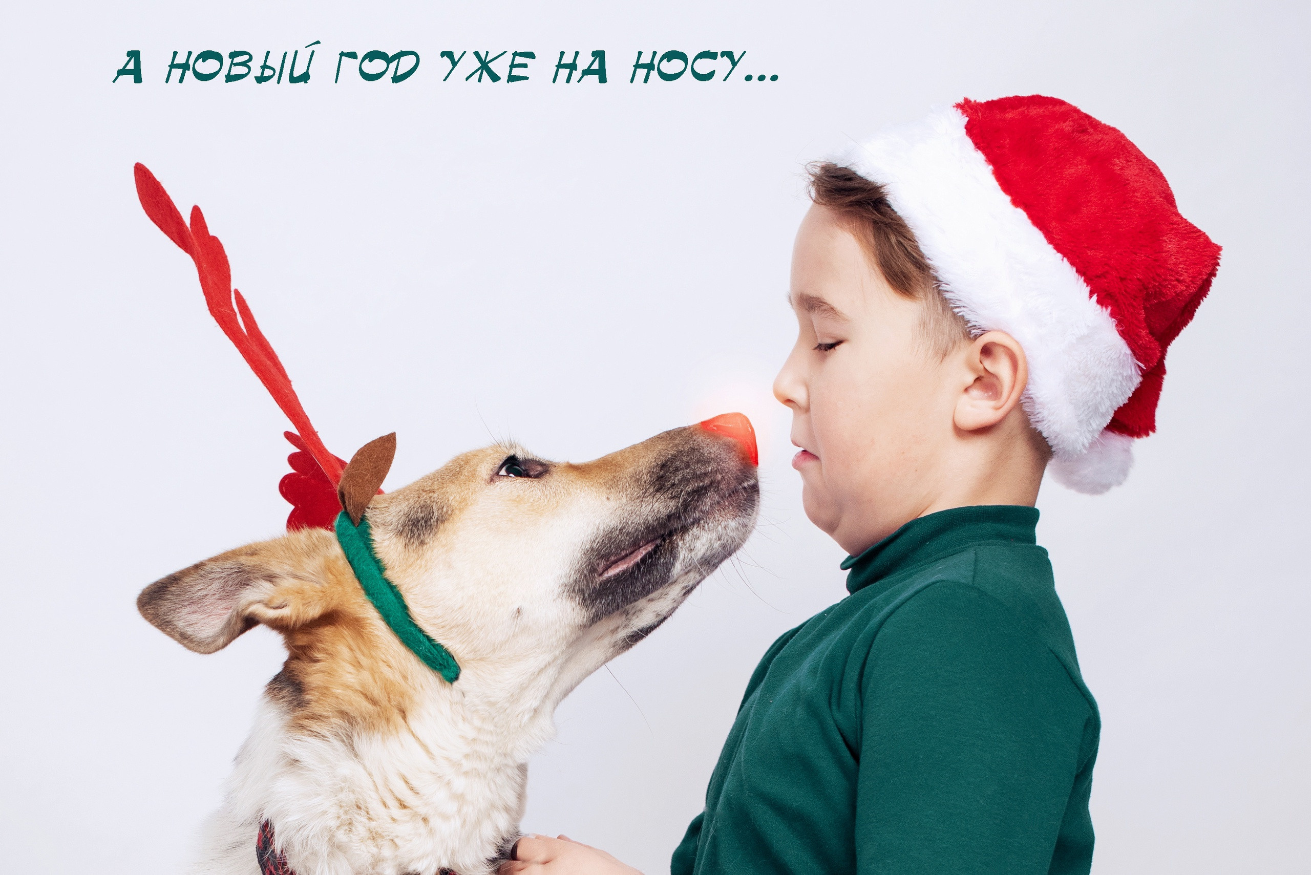 Собака с рогами оленя нюхает мальчика в колпаке Санты