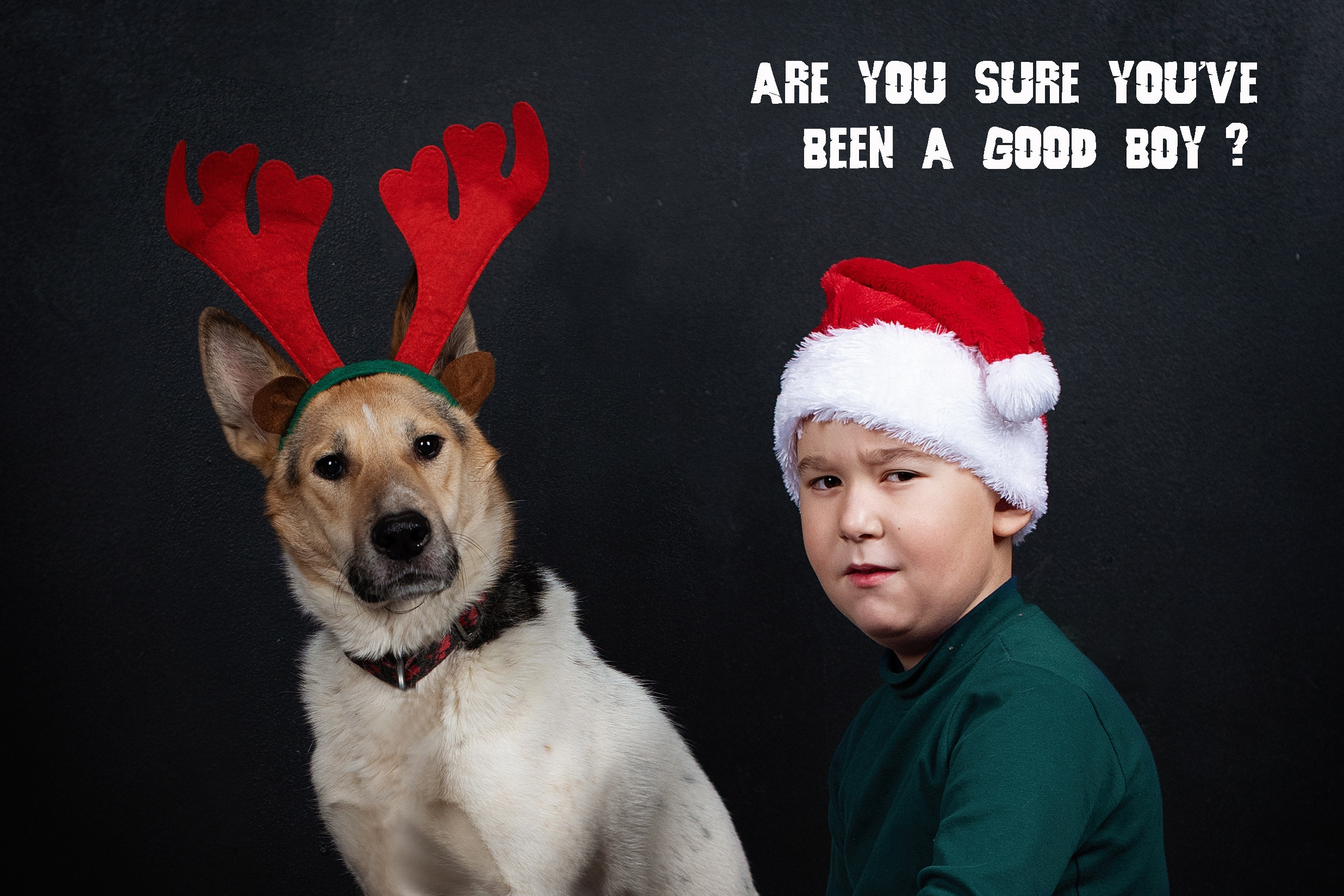 Собака с рогами оленя и мальчик в колпаке Санты смотрят в объектив