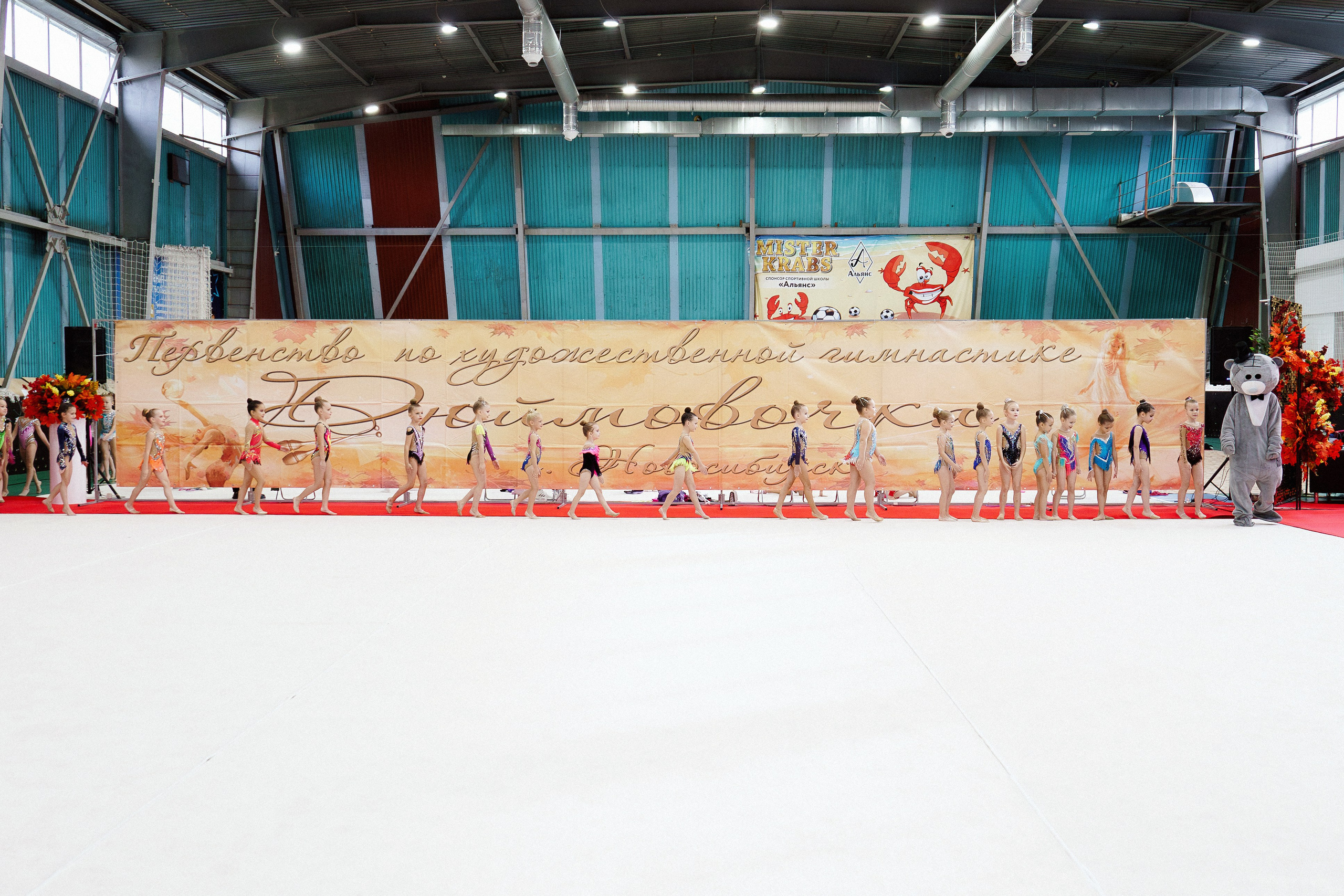 XII городские соревнования по художественной гимнастике «ДЮЙМОВОЧКА». Фотомастерская Воробьевых