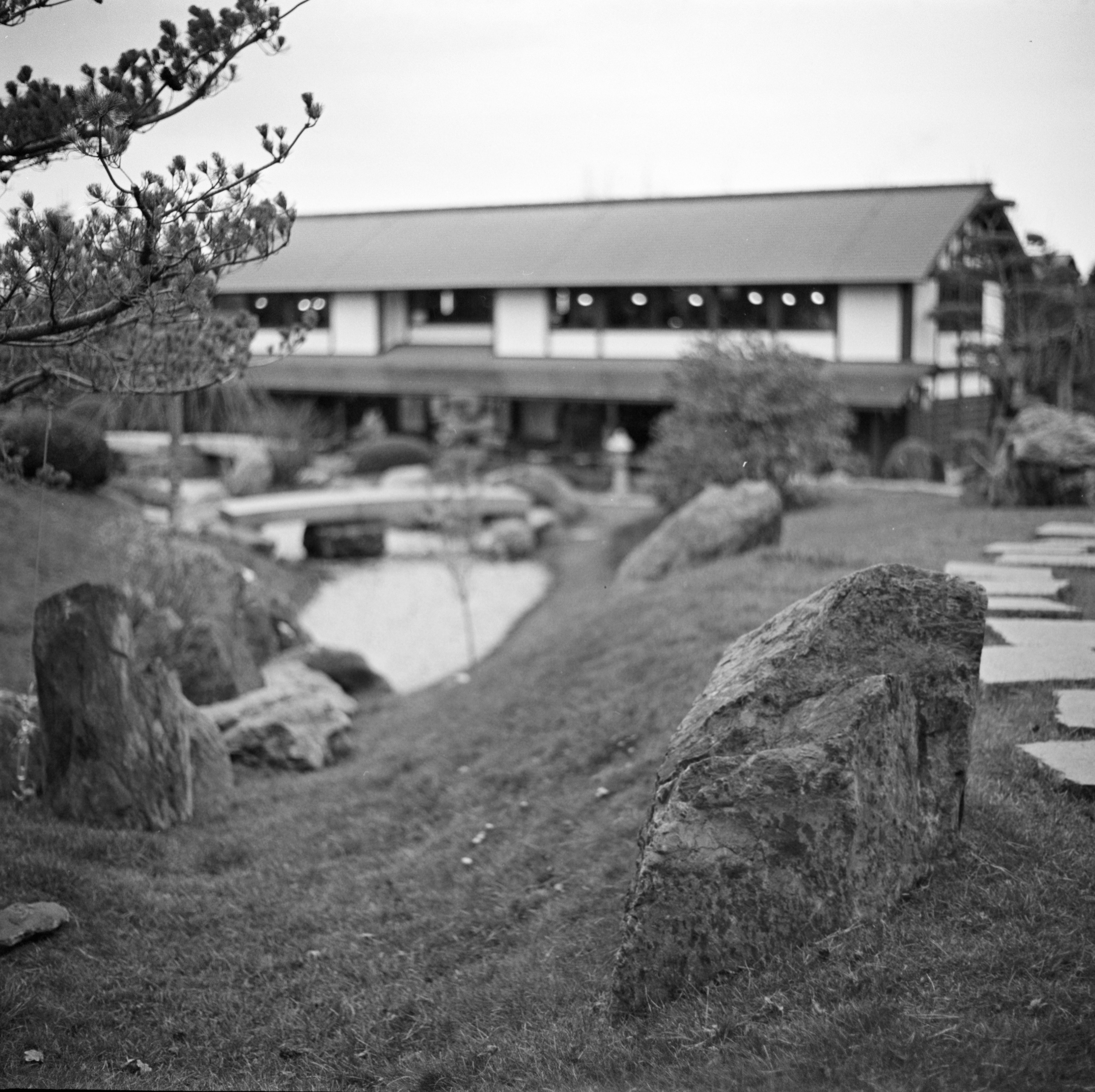 Альбом «Киссатен» г. Краснодар. Проект «Проявленные в кофе»