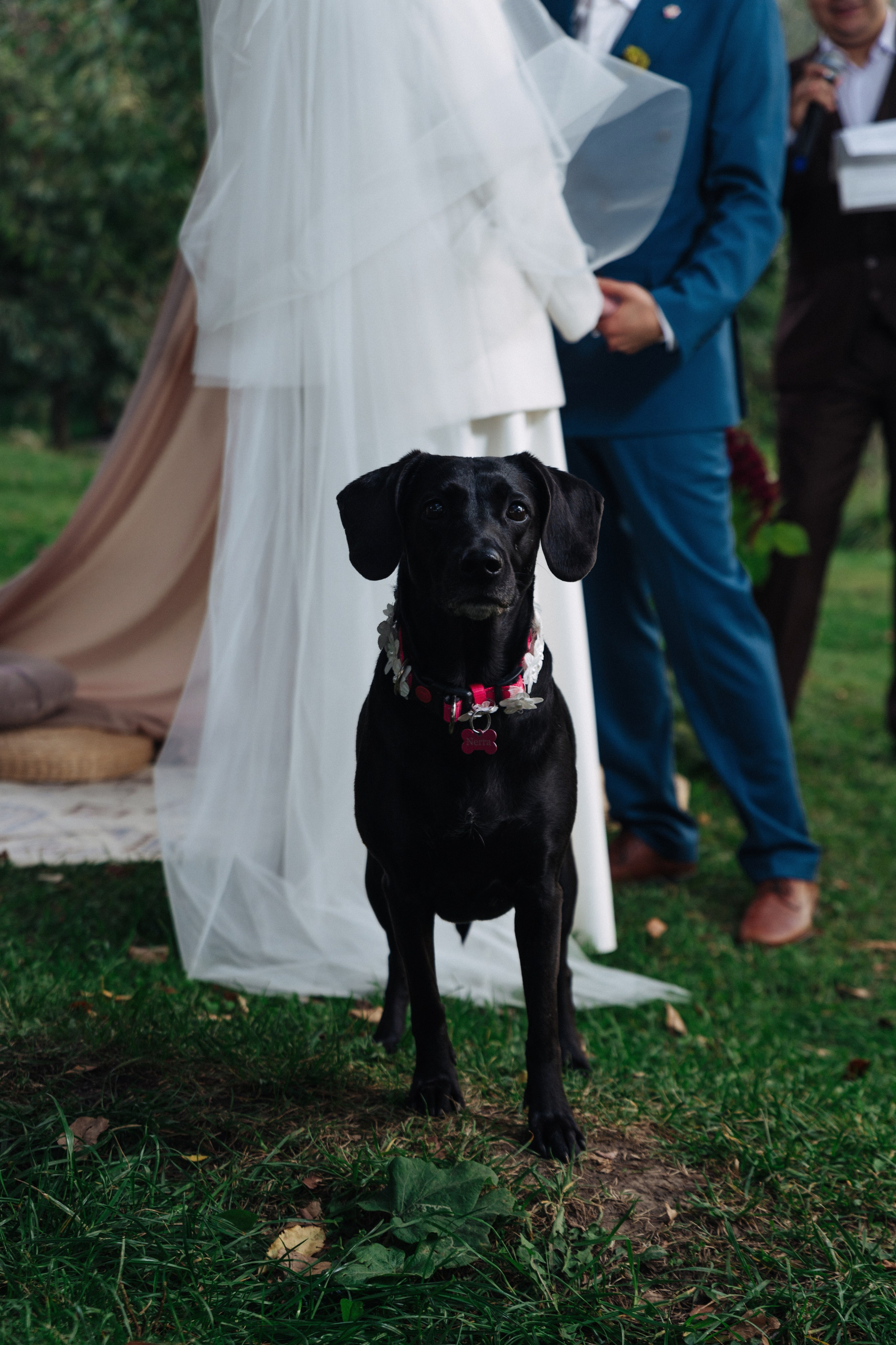 Эдуардо и Люси, свадебная фотосессия. Фотограф в Алматы — Алексей Коньков | Репортаж, свадьбы, портреты
