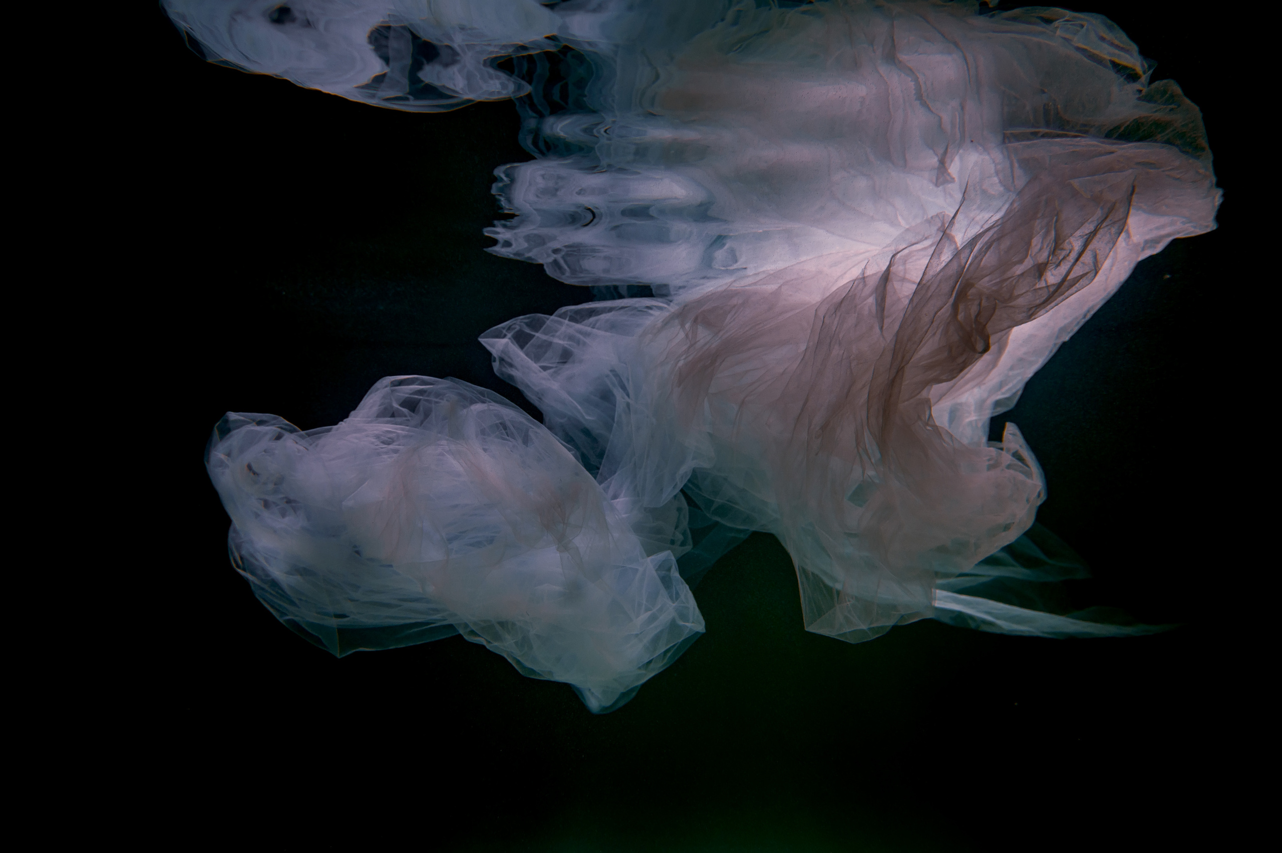 Кристина. Свадебный и семейный фотограф Виктория Носачёва. Щелково, Москва и МО