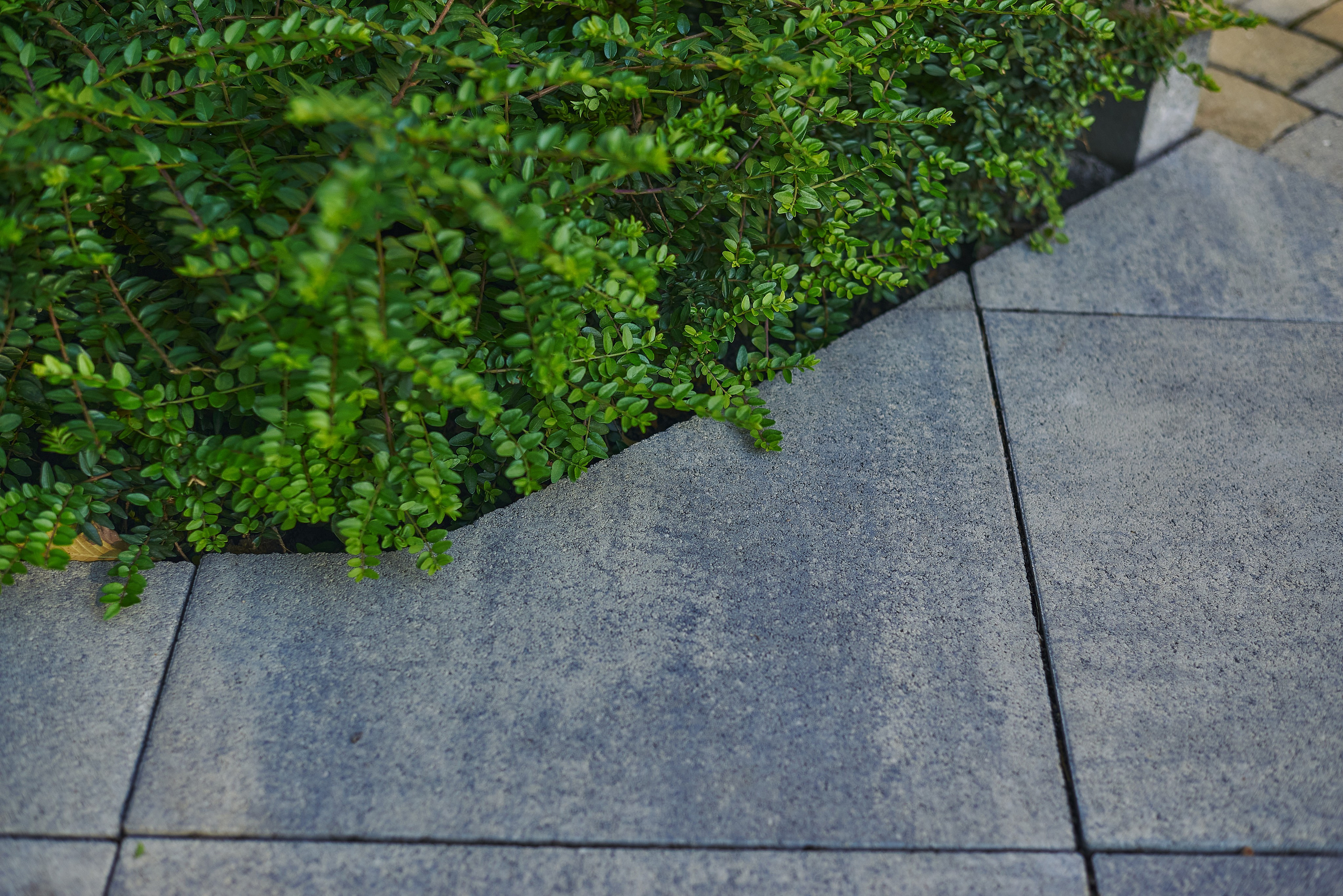 Тротуарная плитка. Константин Кордонский | Интерьерный и food-фотограф в Кисловодске и КМВ