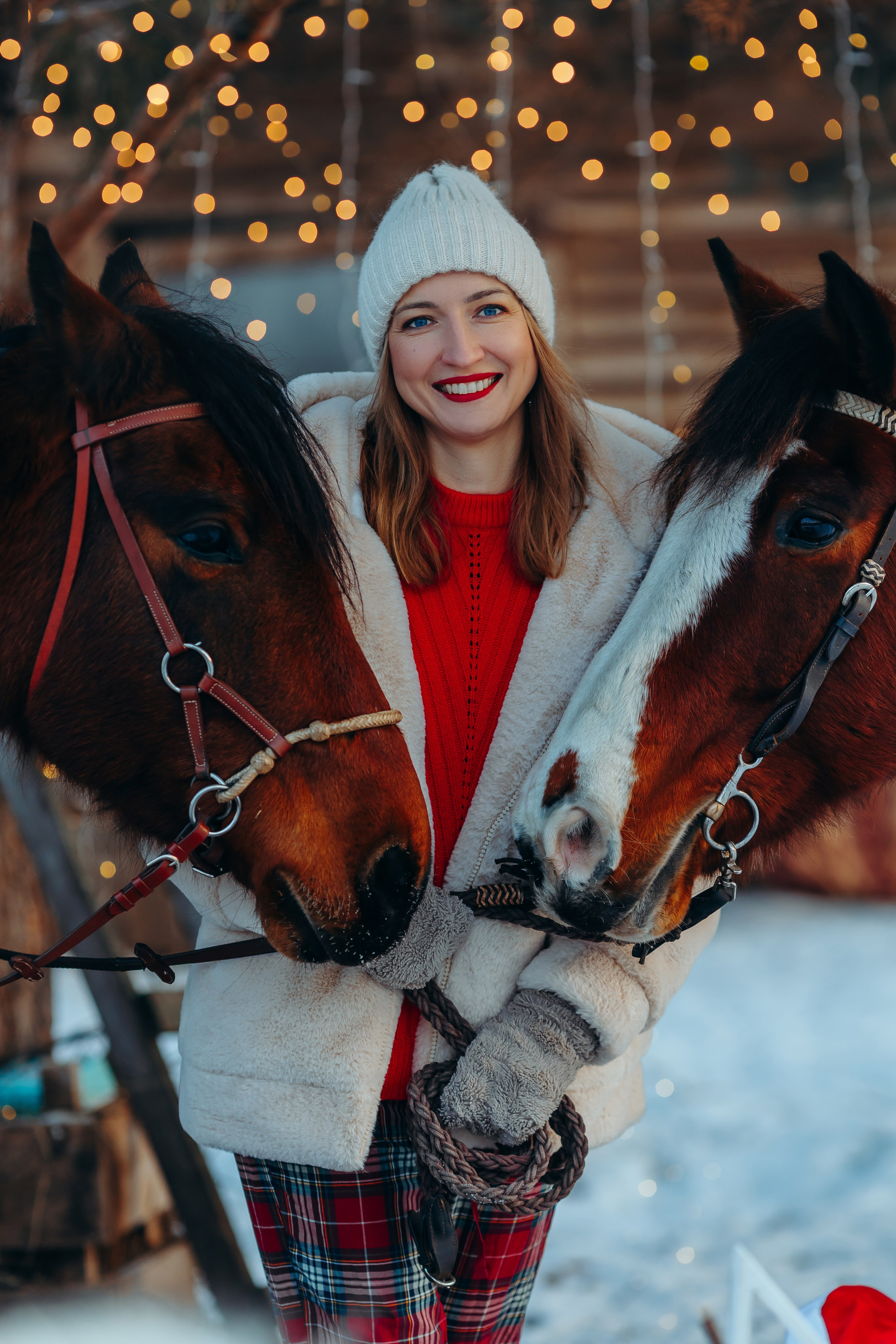 Тариф новогодний 2024. Анна Молчанова конный фотограф в Тюмени | фотосессии с лошадьми Тюмень
