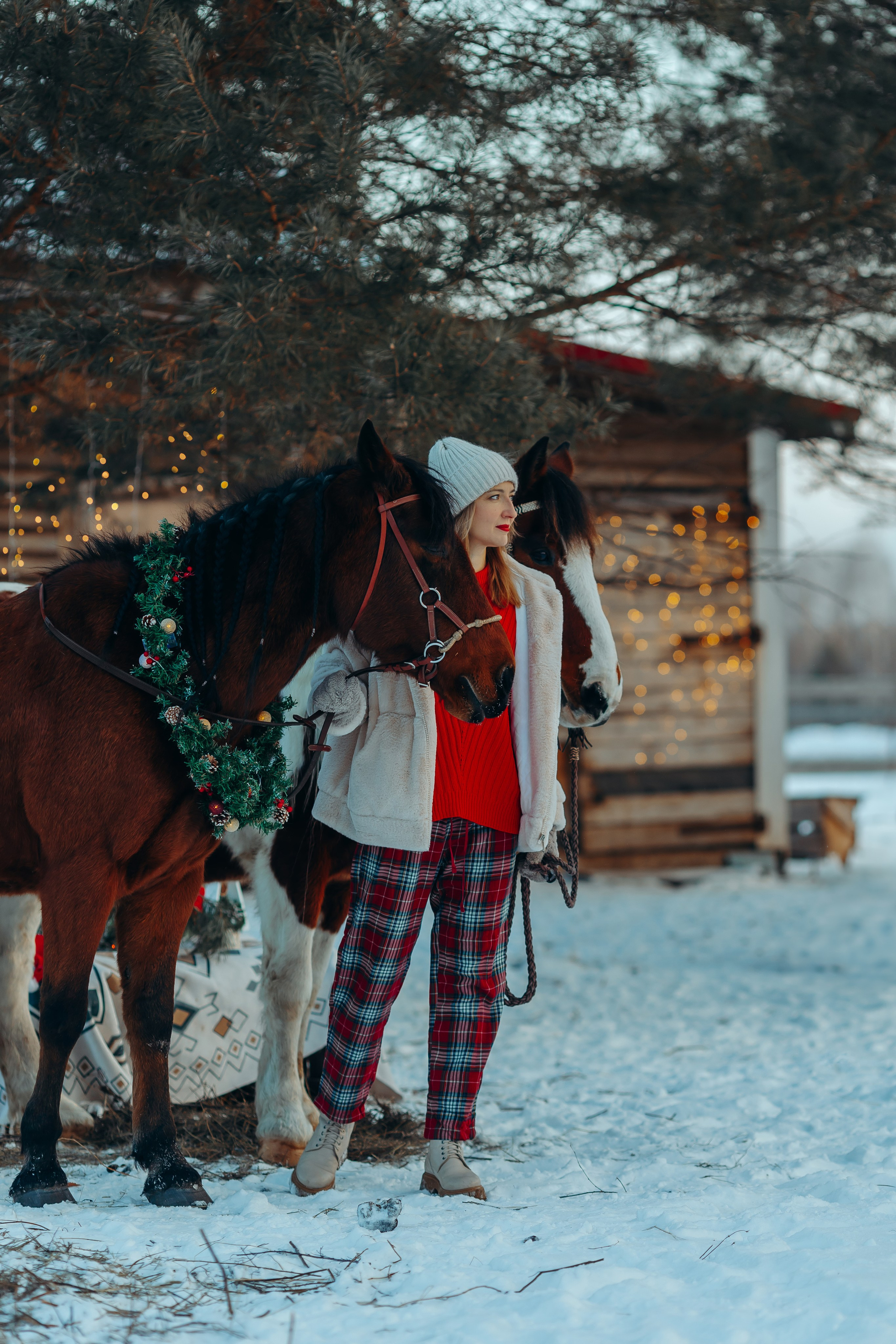 Тариф новогодний 2024. Анна Молчанова конный фотограф в Тюмени | фотосессии с лошадьми Тюмень