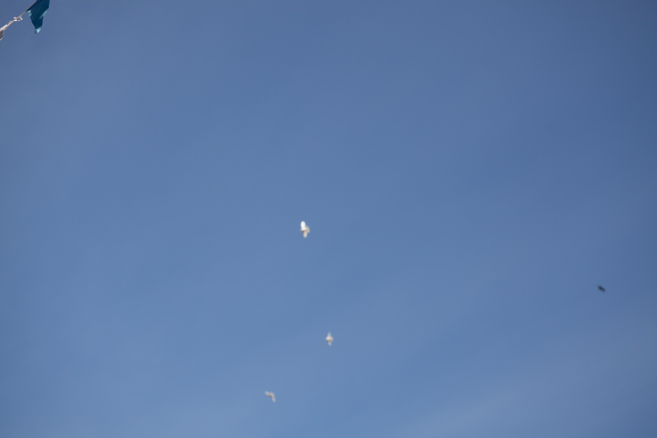 Последний звонок в Десяточке