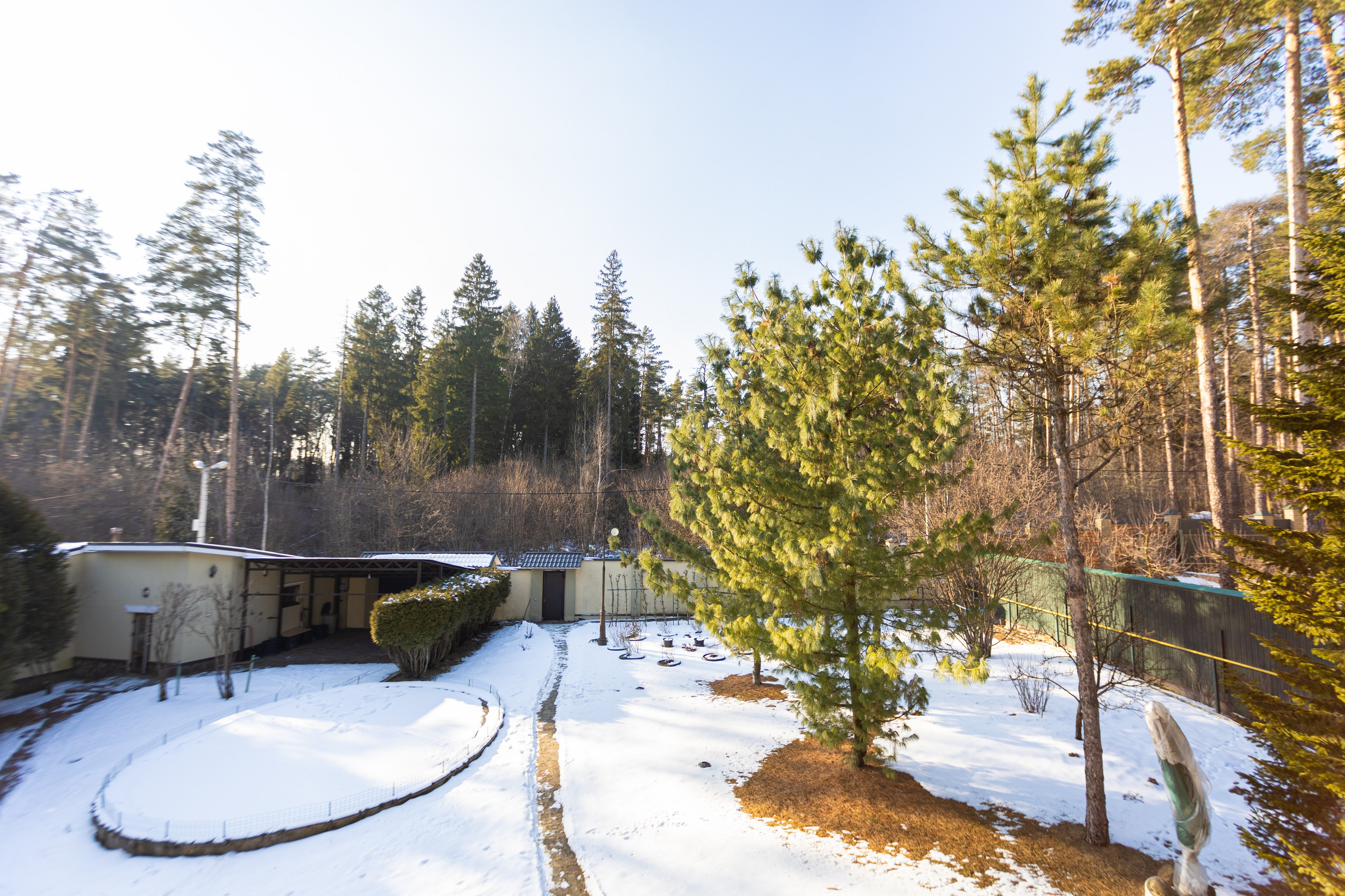 Главная. BogdanovPh