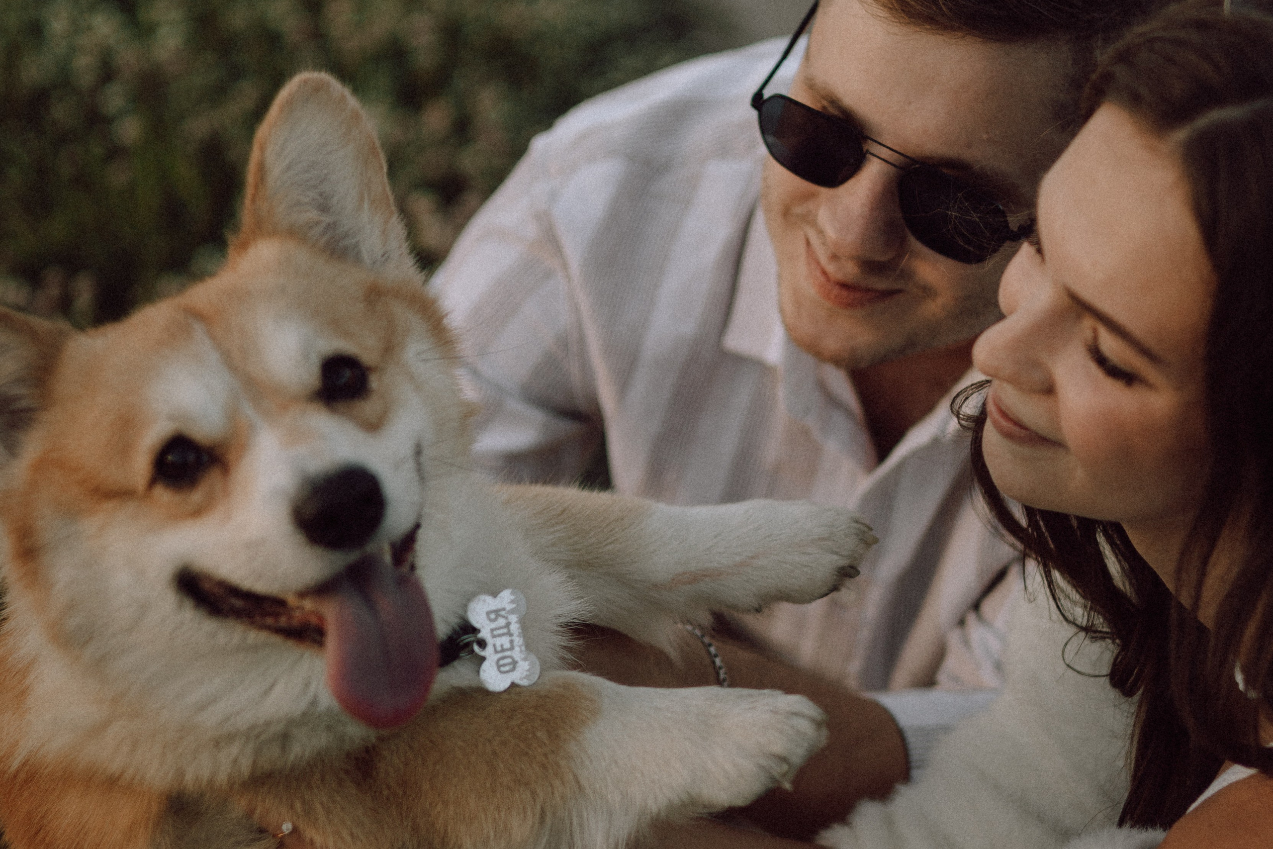 Фёдор и ребята. Фотограф — анималист •love-story•|Санкт-Петербург