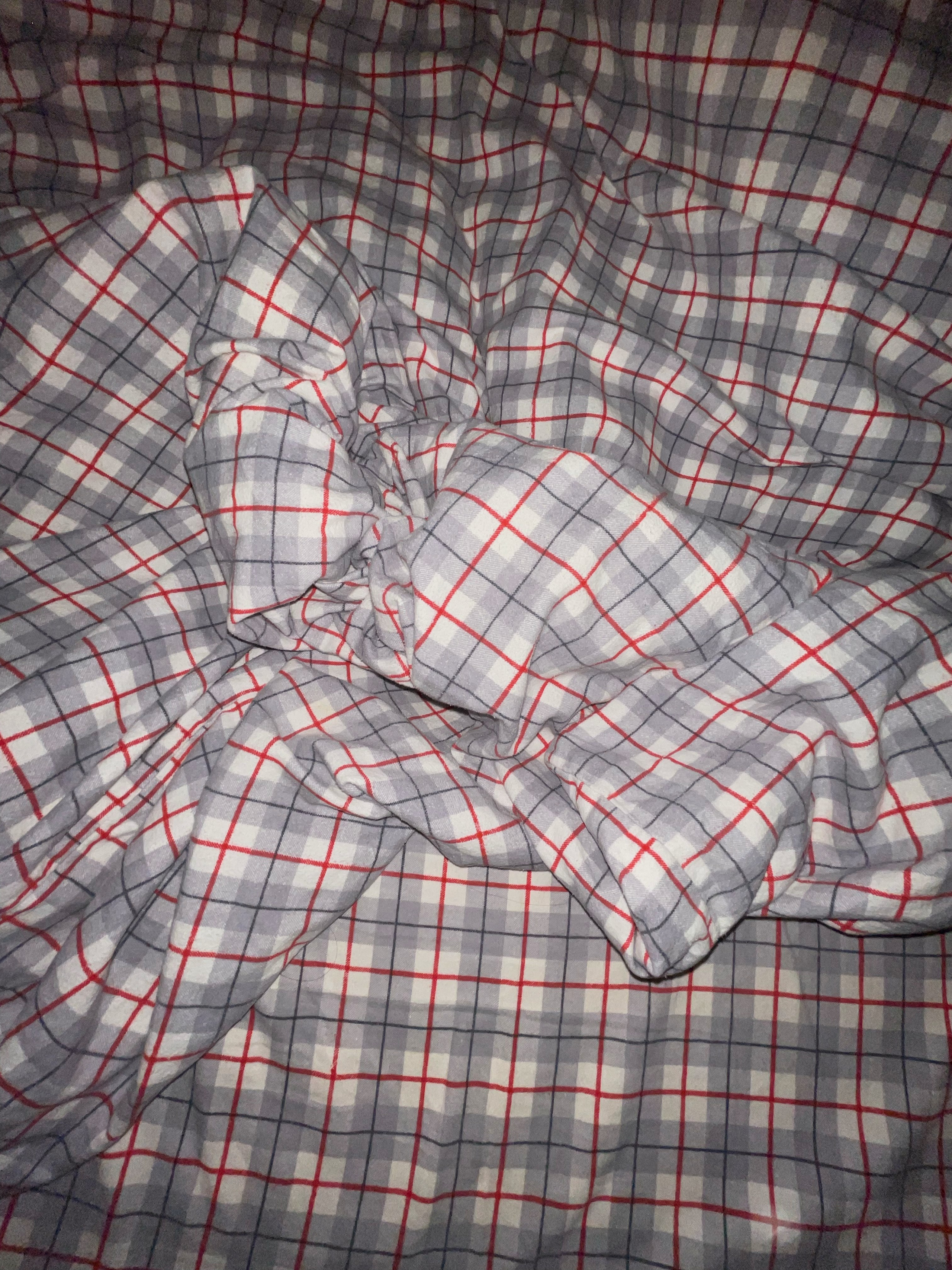 HEYDAY. Daria Blinova