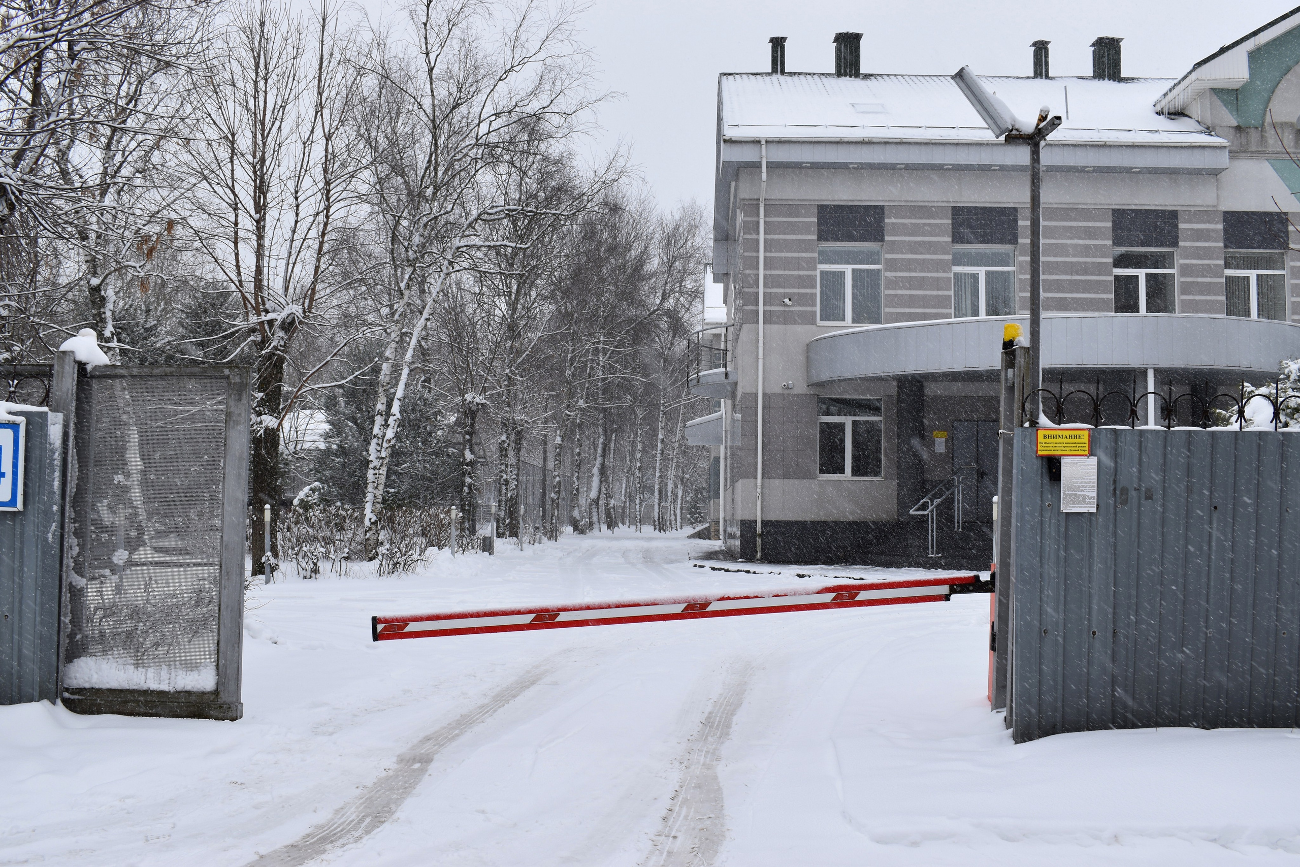 Добрый садовник (в процессе). Микс-медиа художница Надежда Пророкова