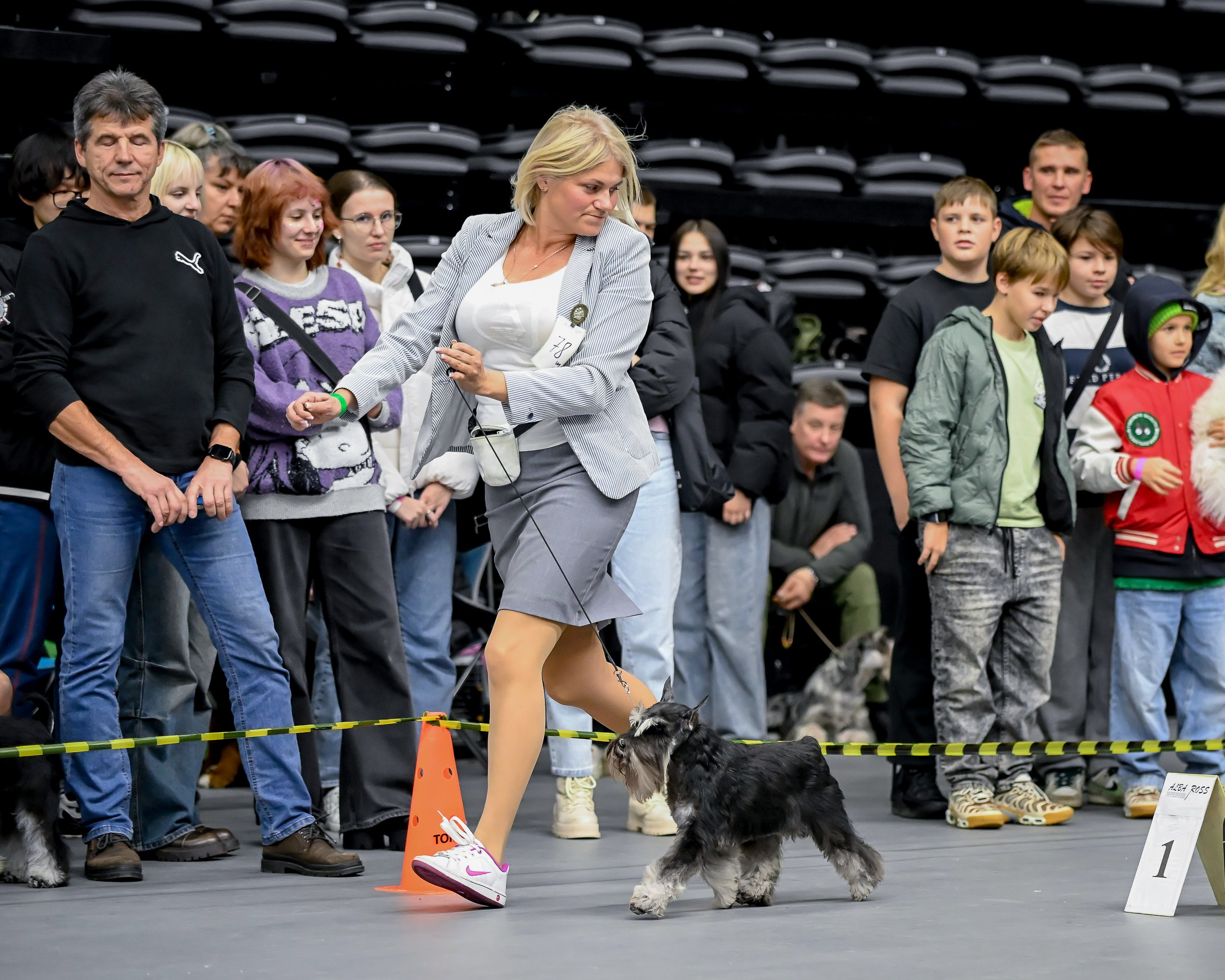 Софи/Asson Ari Vivien Marceau. Питомник цвергшнауцеров в Беларуси «Делинсо Бэлэнс»