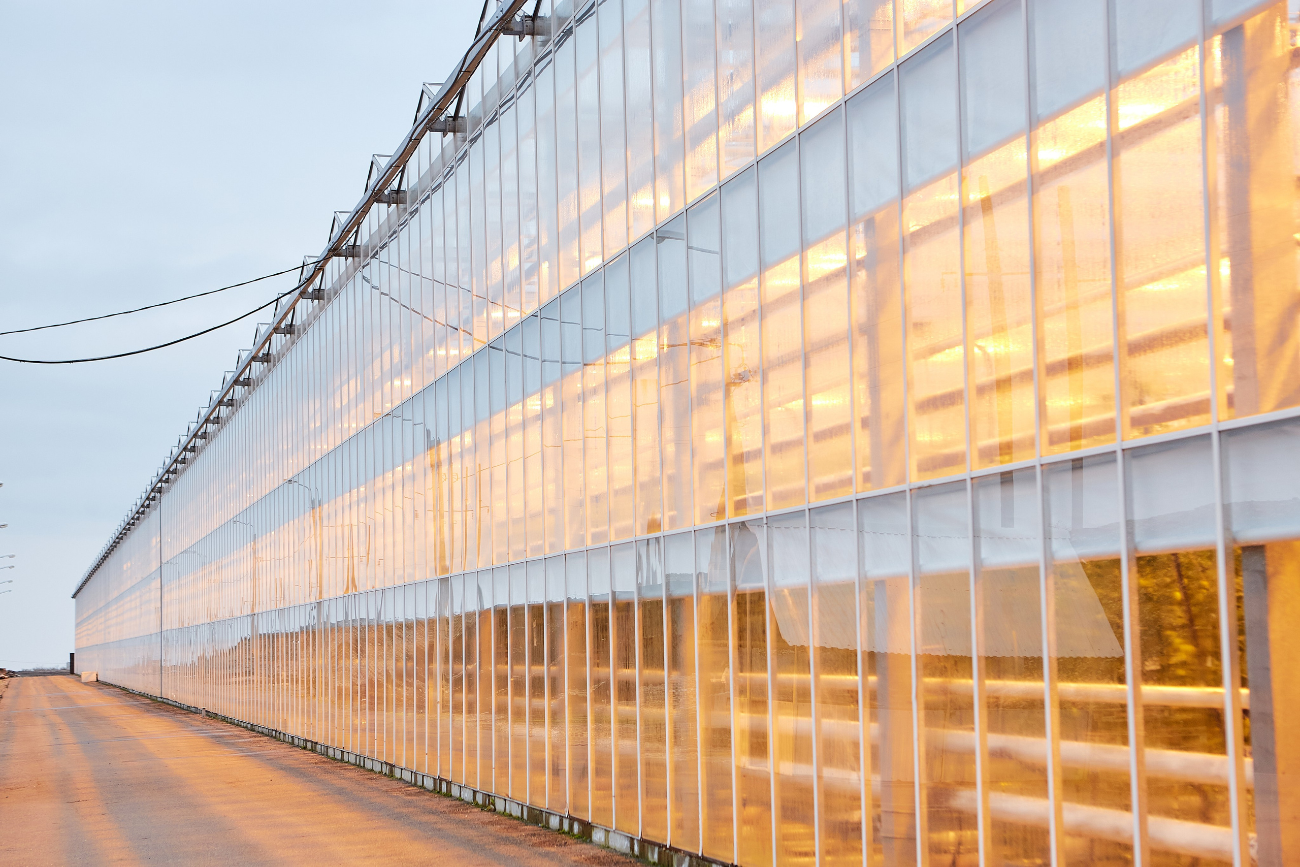 Эко-Культура