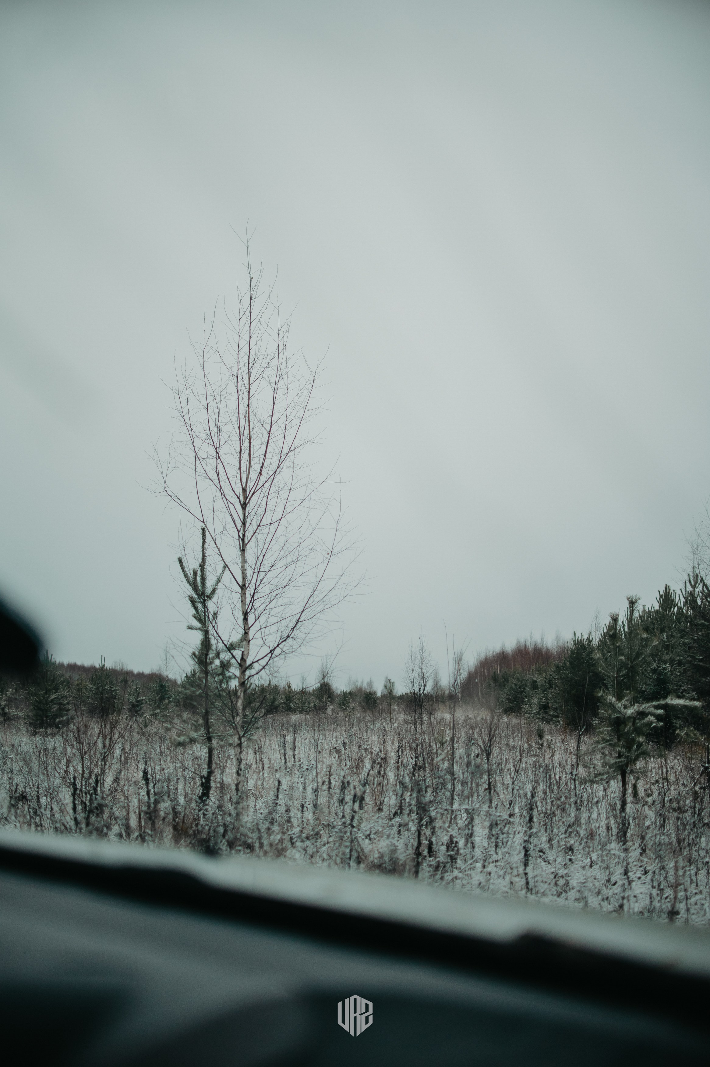 «Затерянное Вятки». Путь на «поющие пески». Контент фотограф Илья Урс