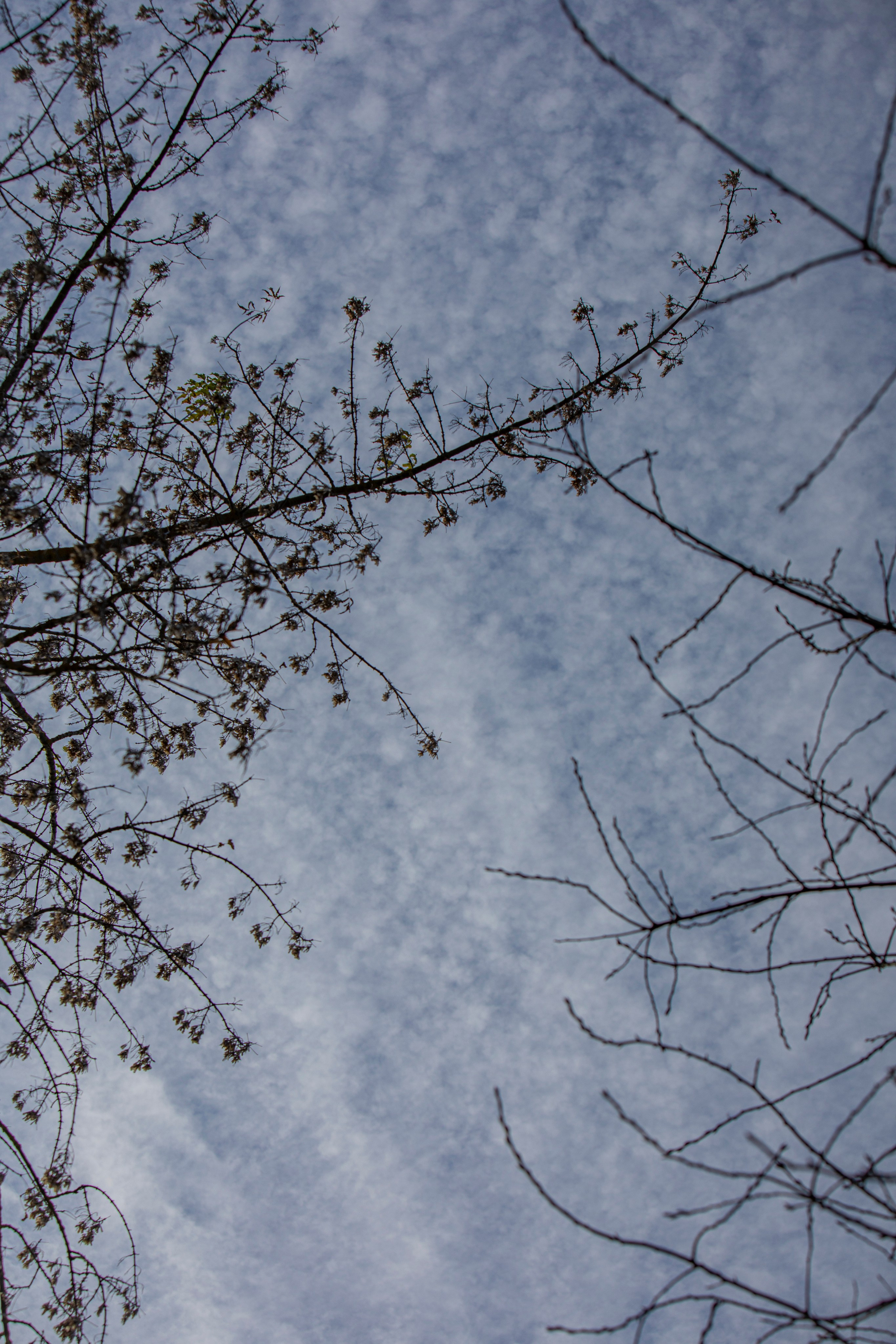 Воскресенье в г. Дмитров. Фотограф Сергей Ловкий