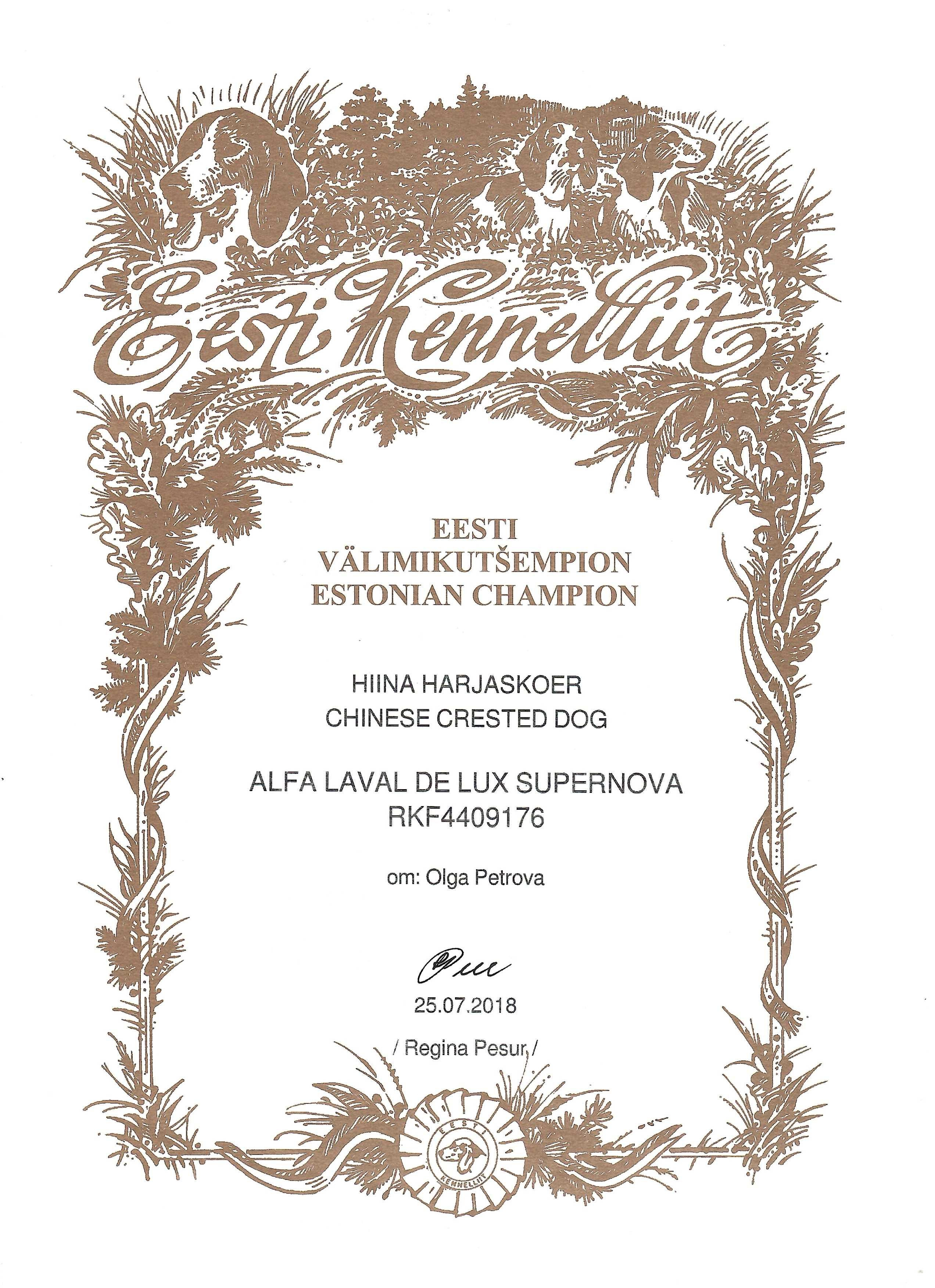 Alfa Laval De lux Supernova. Питомник китайских хохлатых собак Poale Ell: купить щенка