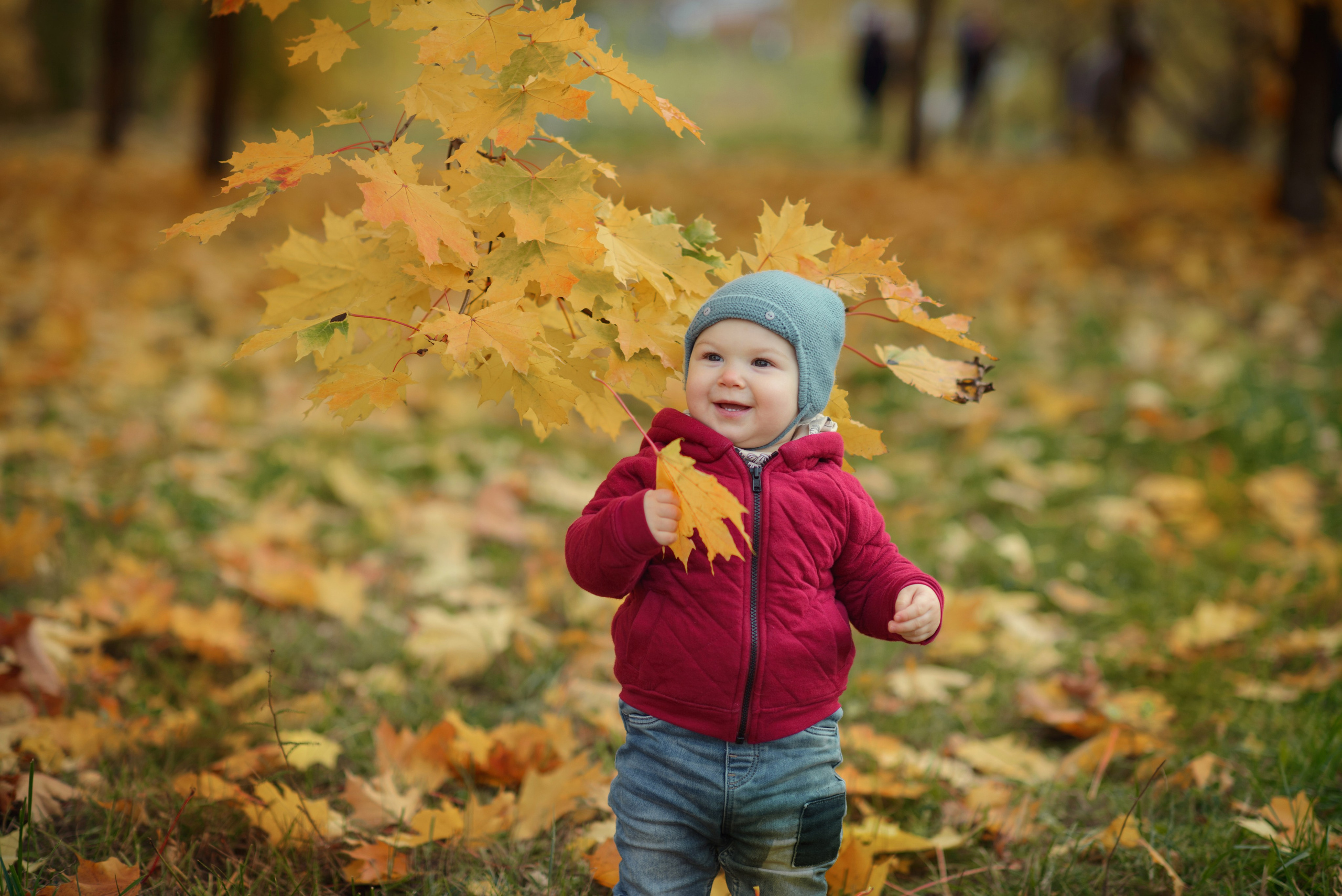 Photo shoot of a little child in autumn. Photos with yellow leaves