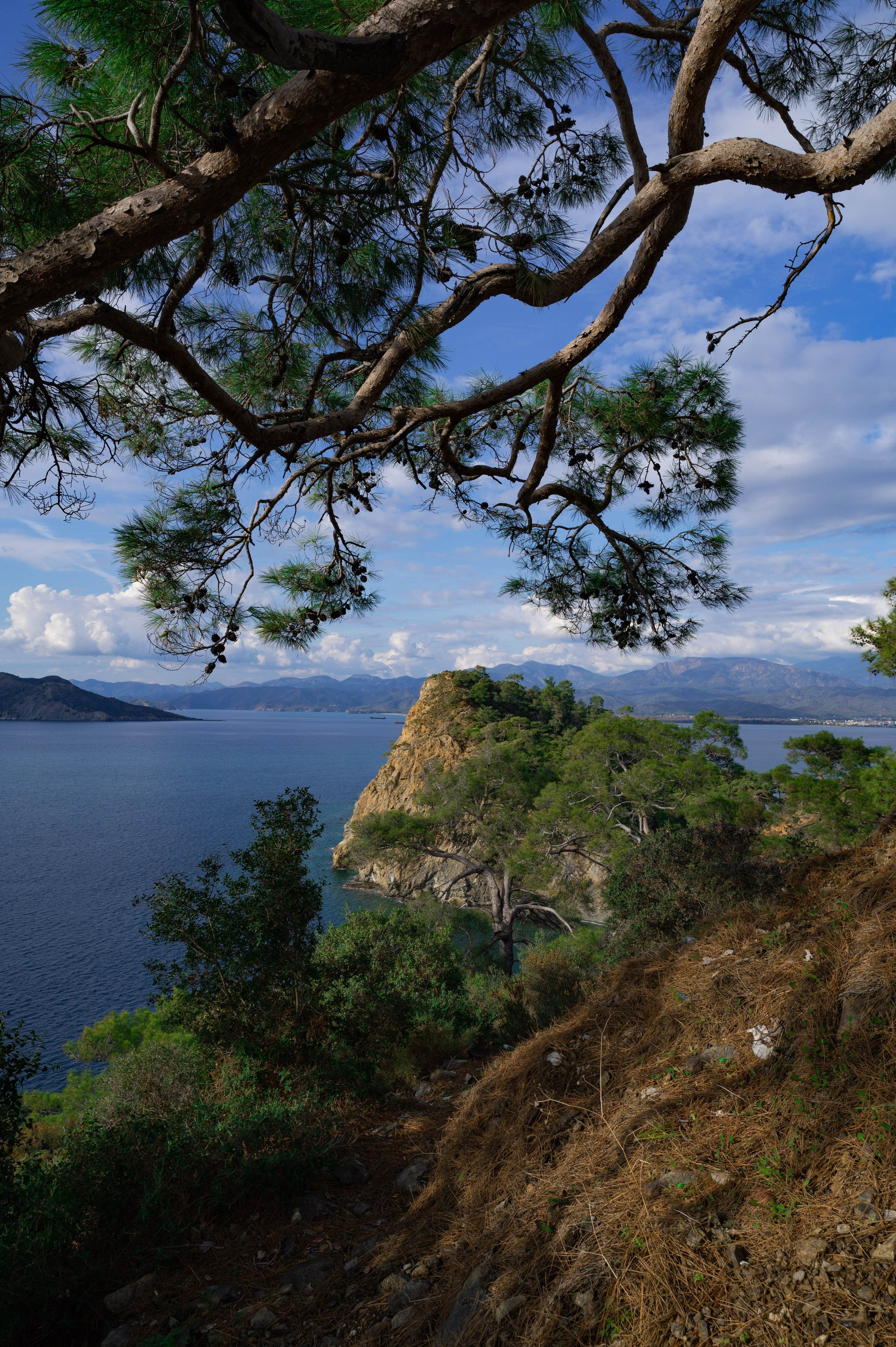 Photographer Yulia Lushnikova, Based in Valencia