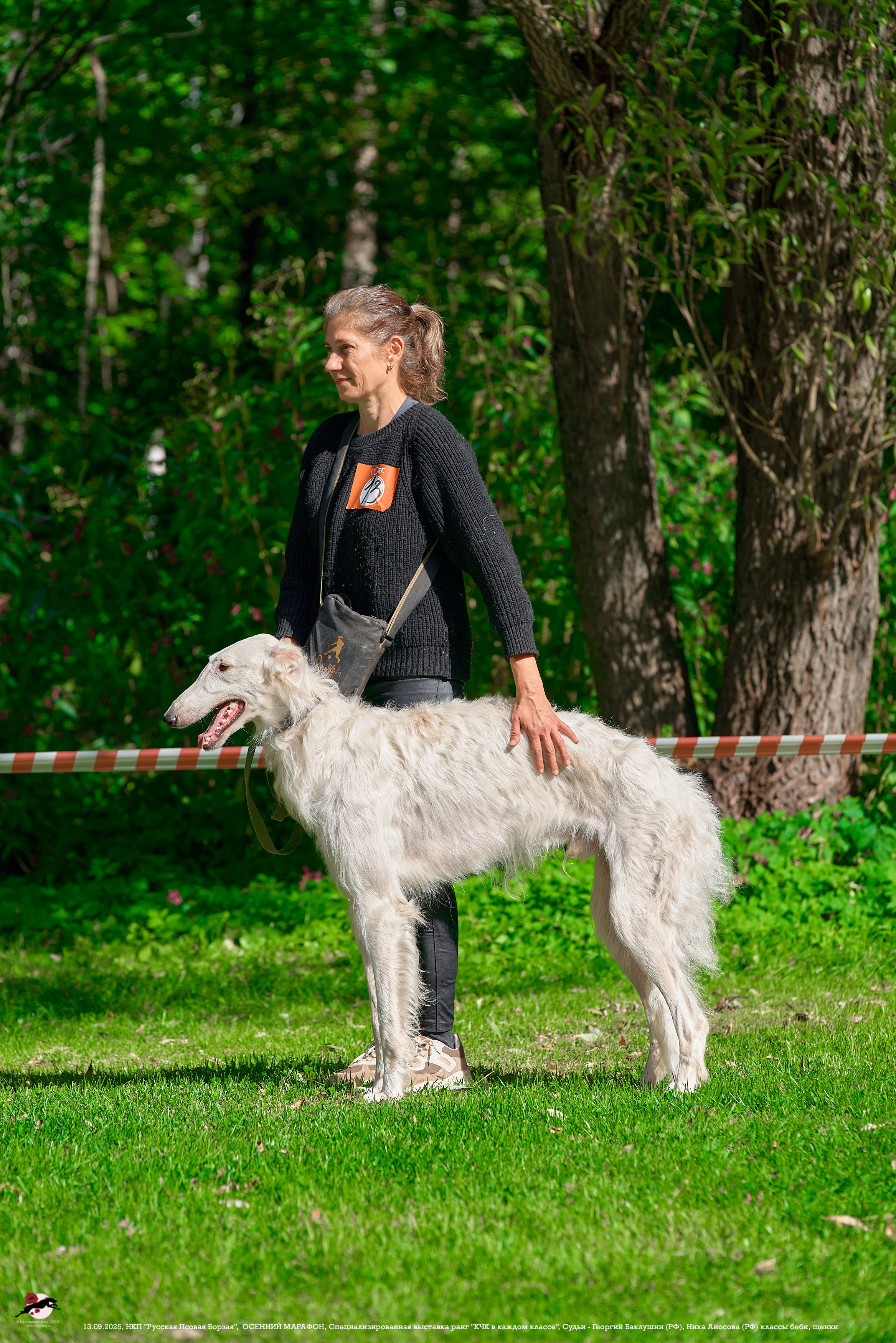 ОСЕННИЙ МАРАФОН | Специализированная выставка породы Русская Псовая Борзая ранг "КЧК в каждом классе"