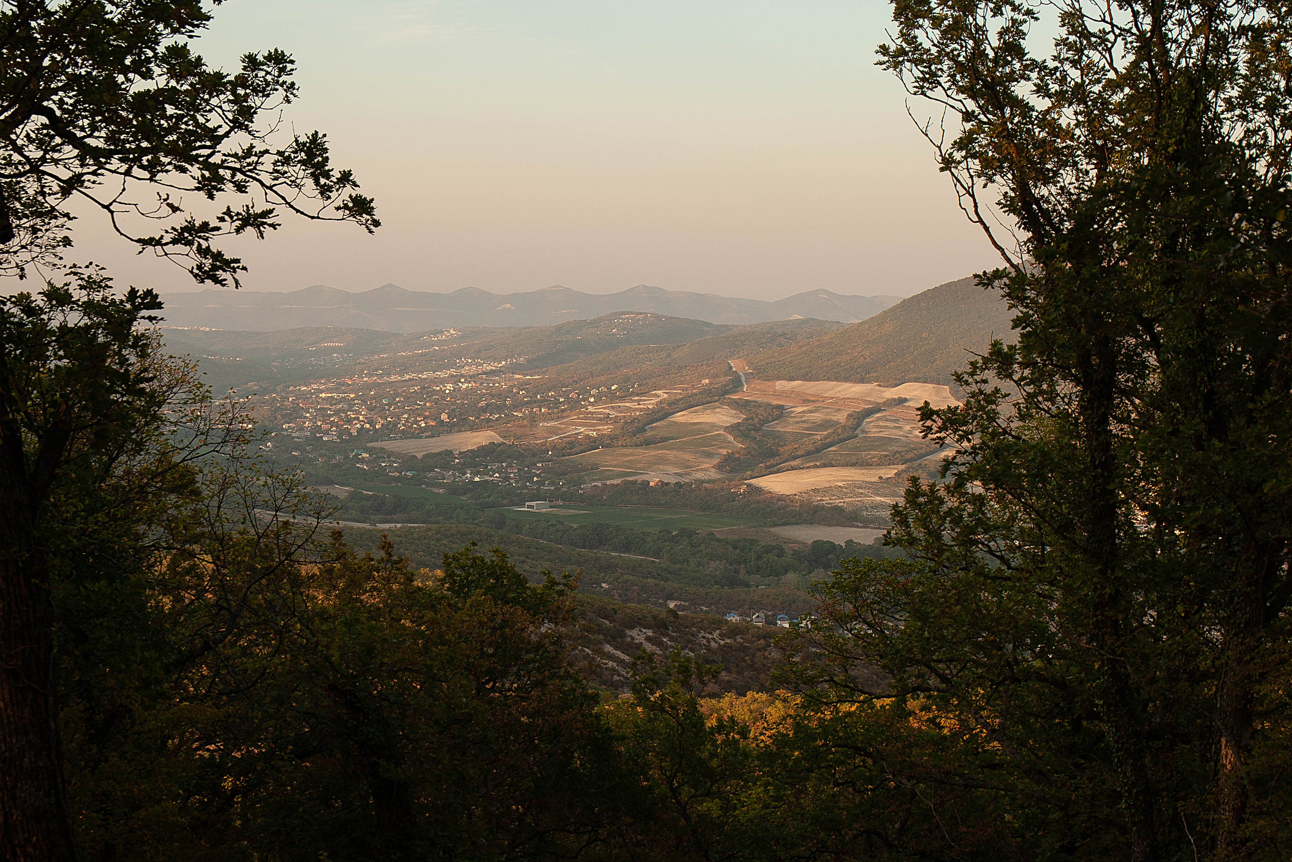 Фотограф в Геленджике, Архипо-Осиповке, Абрау-Дюрсо, Кринице Виктория