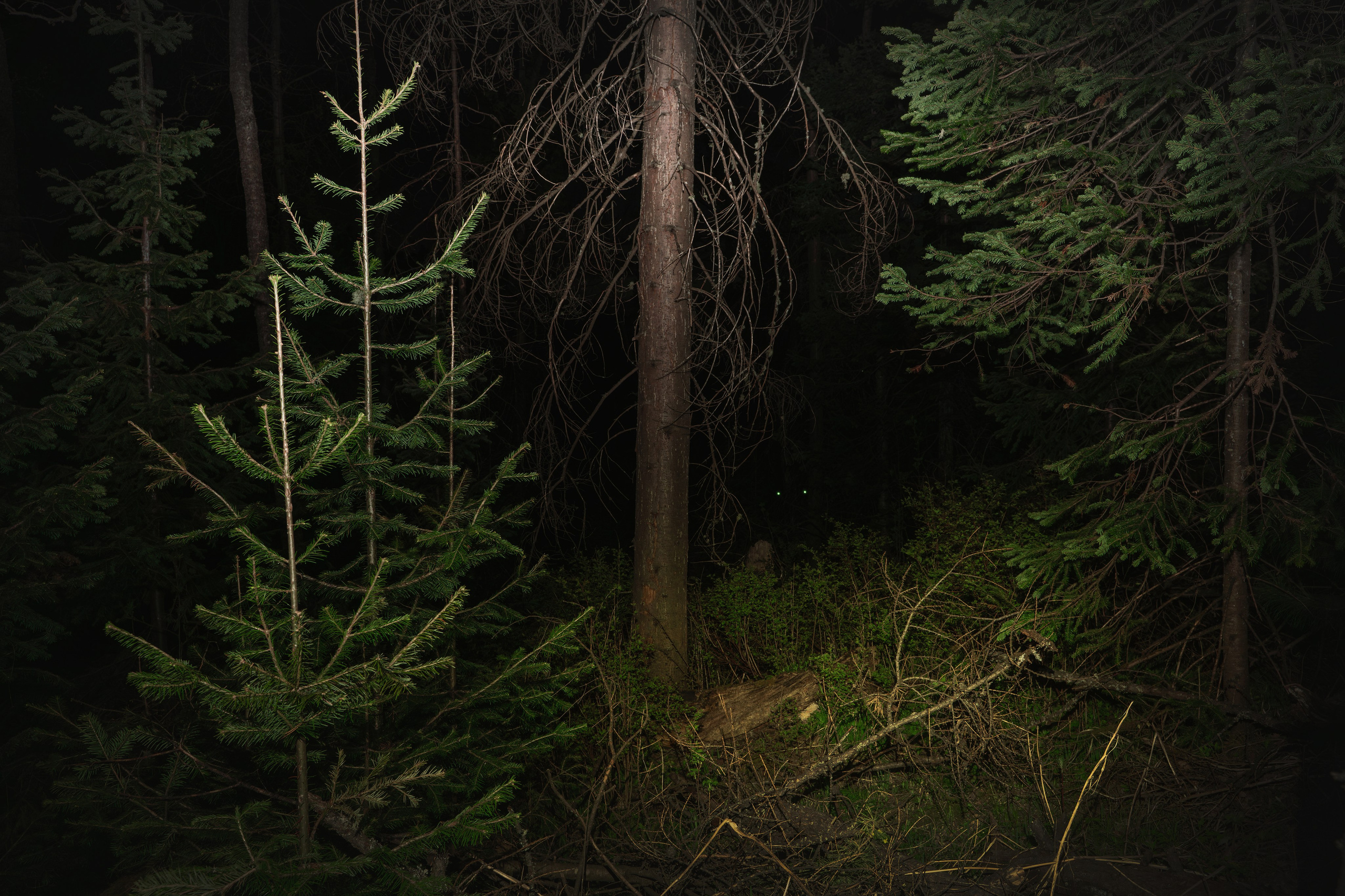 Пристанище. Элина Гусарова