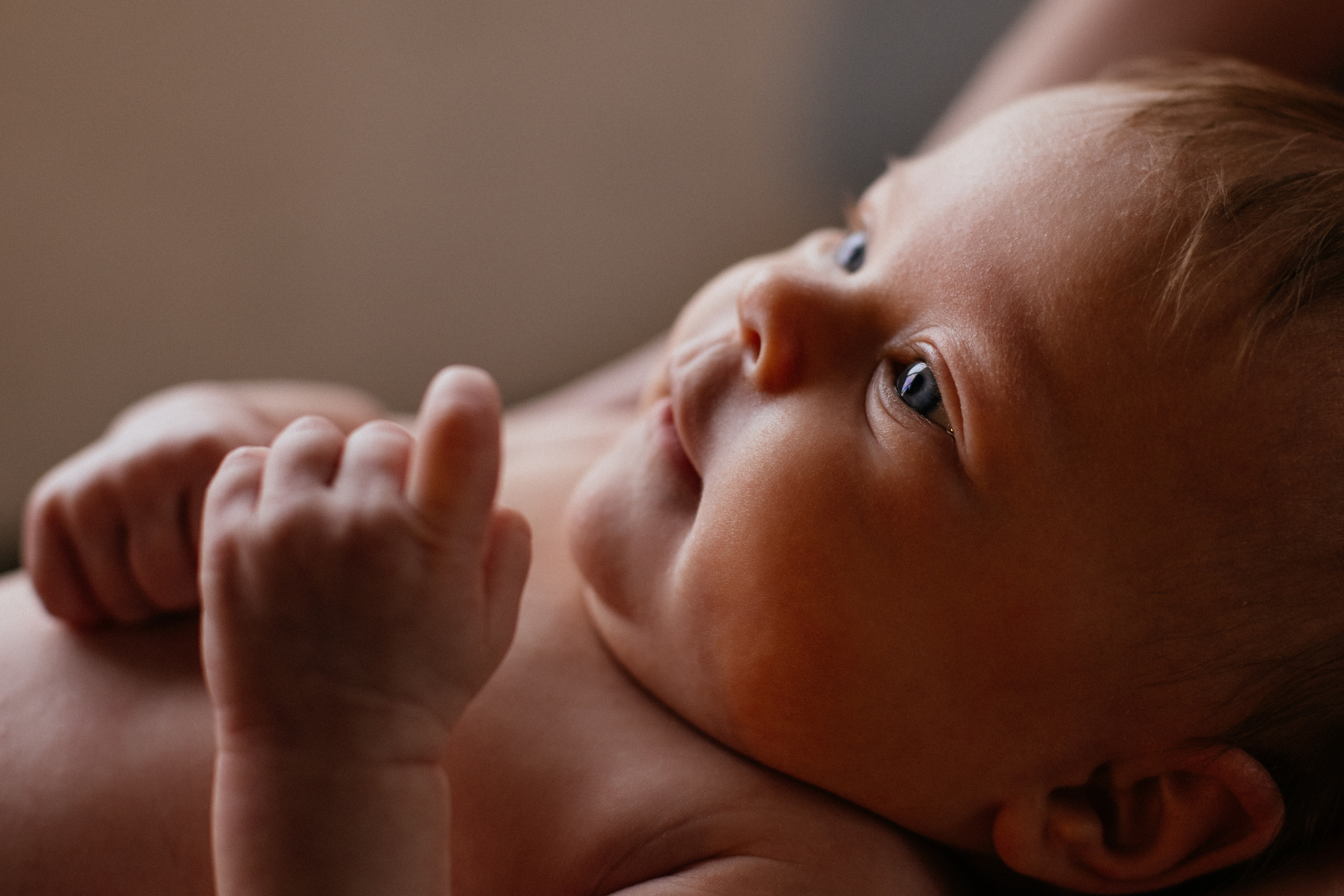 Семейная фотосессия в студии. Свадебный и семейный фотограф Ксения Шекк Екатеринбург