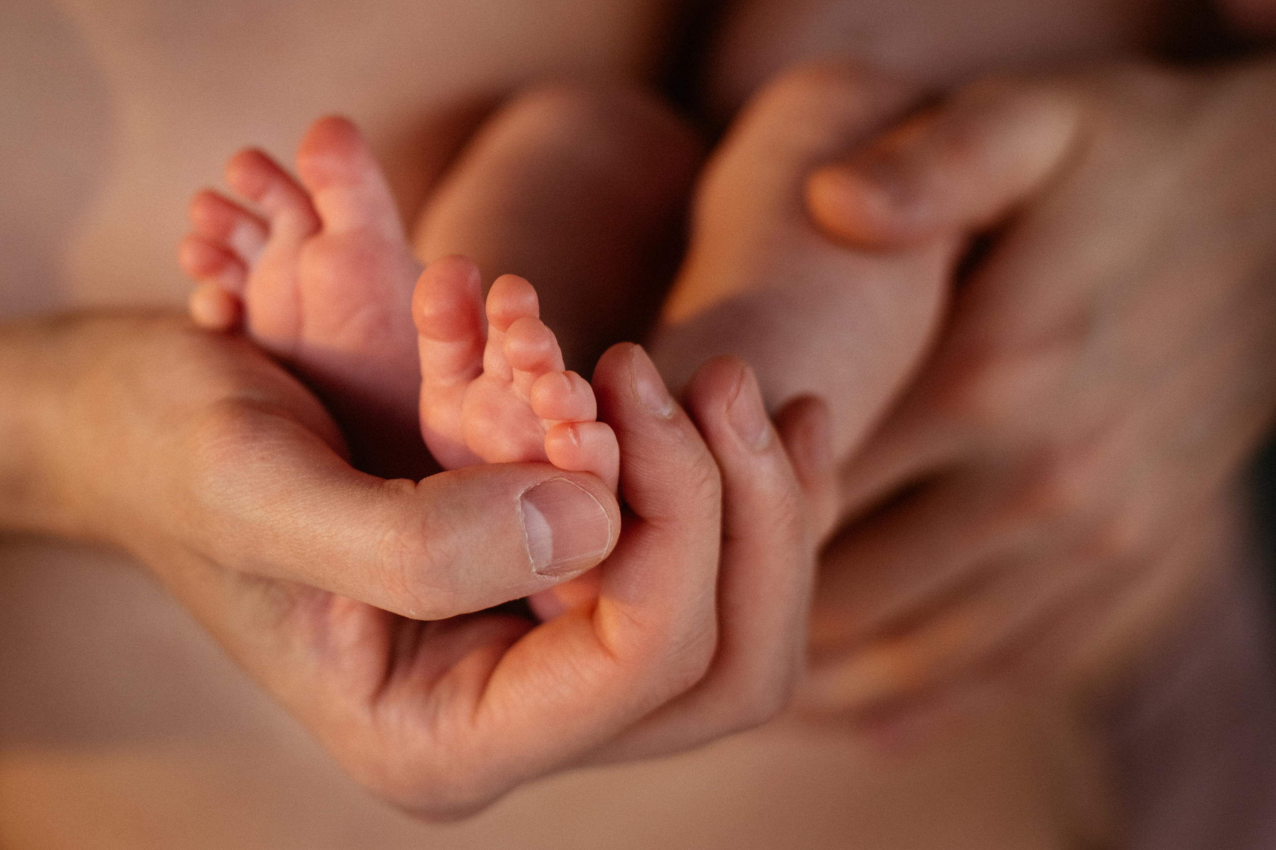 Семейная фотосессия в студии. Свадебный и семейный фотограф Ксения Шекк Екатеринбург