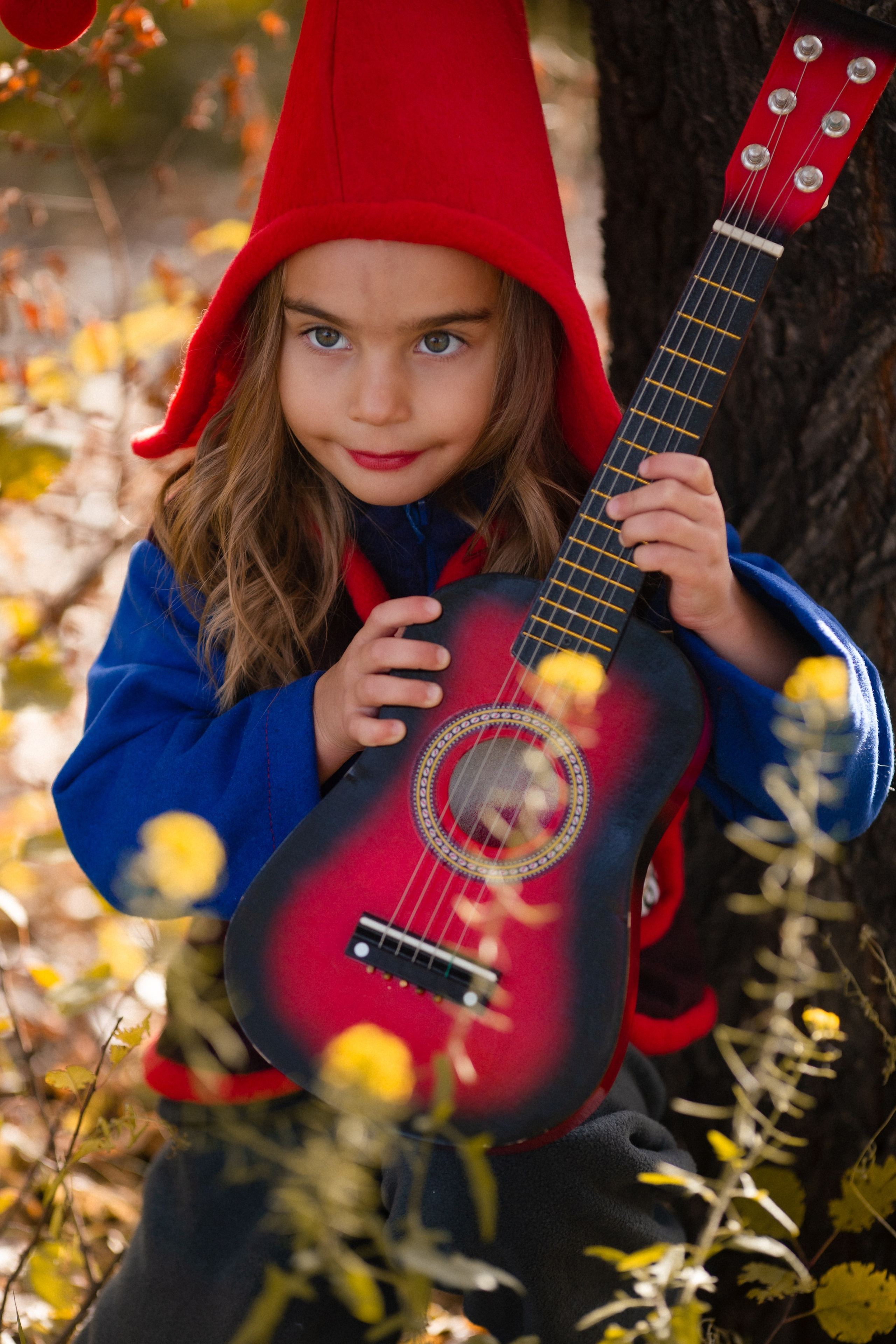 Лесные гномы