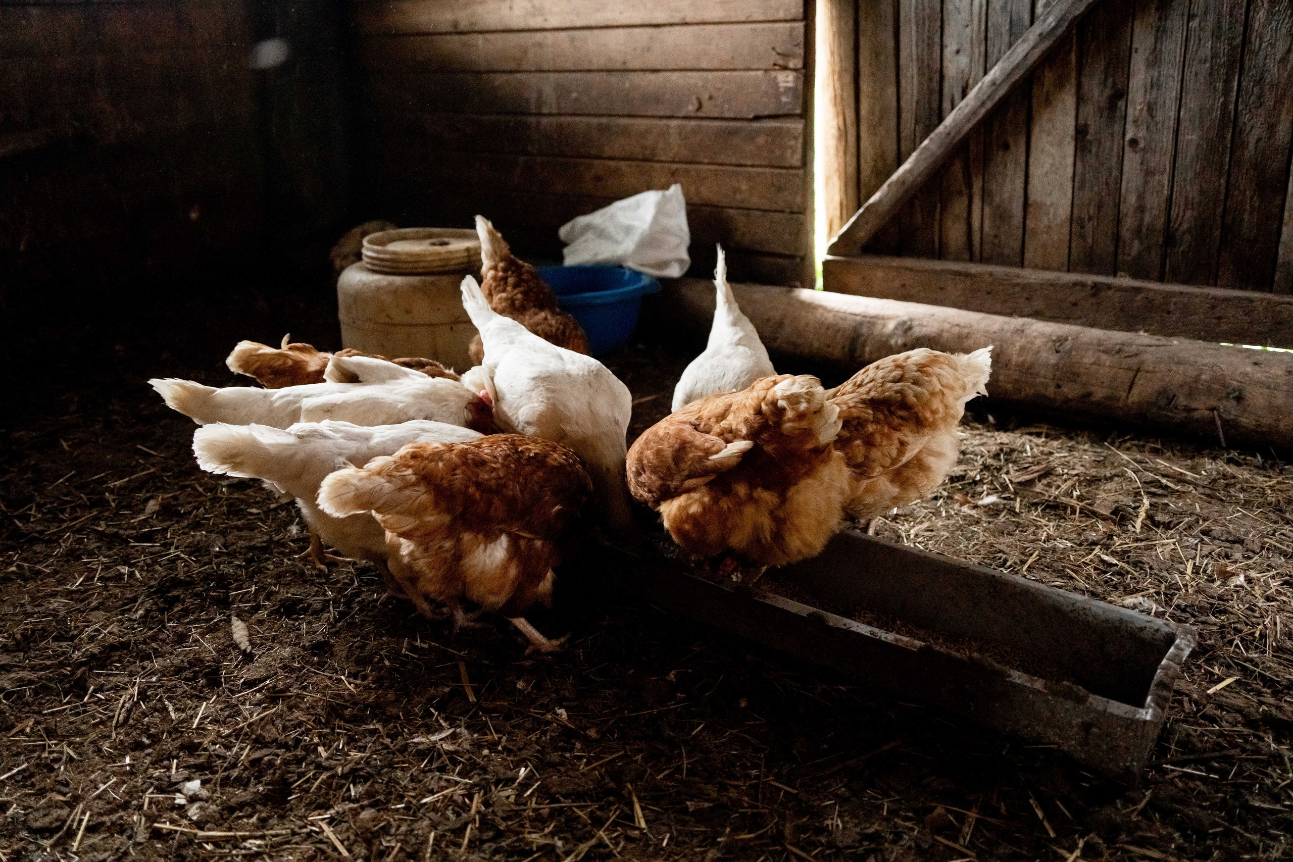 Куракинская керамика. Event фотограф Степанова Александра