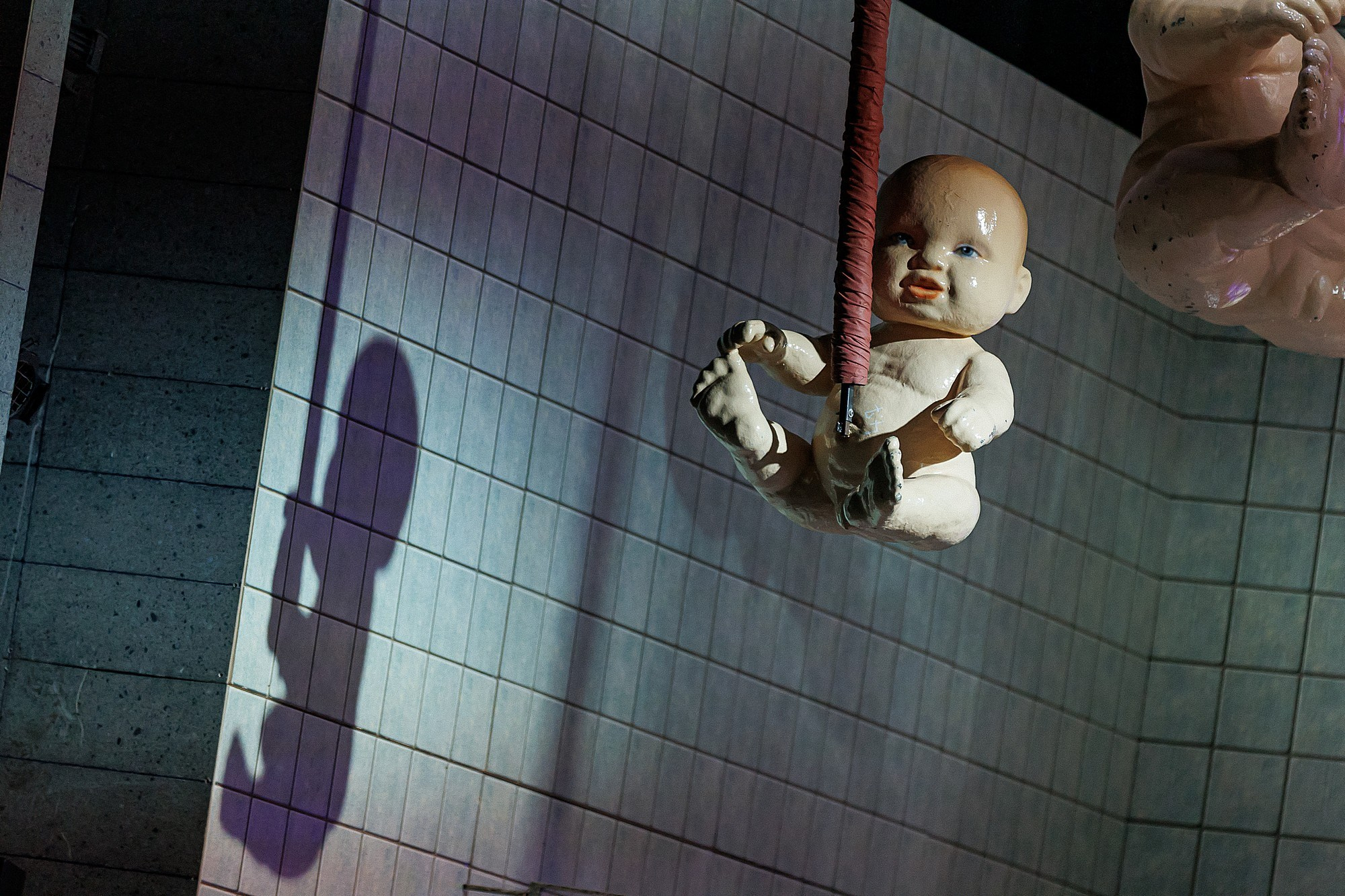 Лягушки. Боченков Вадим | Фотограф в Пскове и Санкт-Петербурге