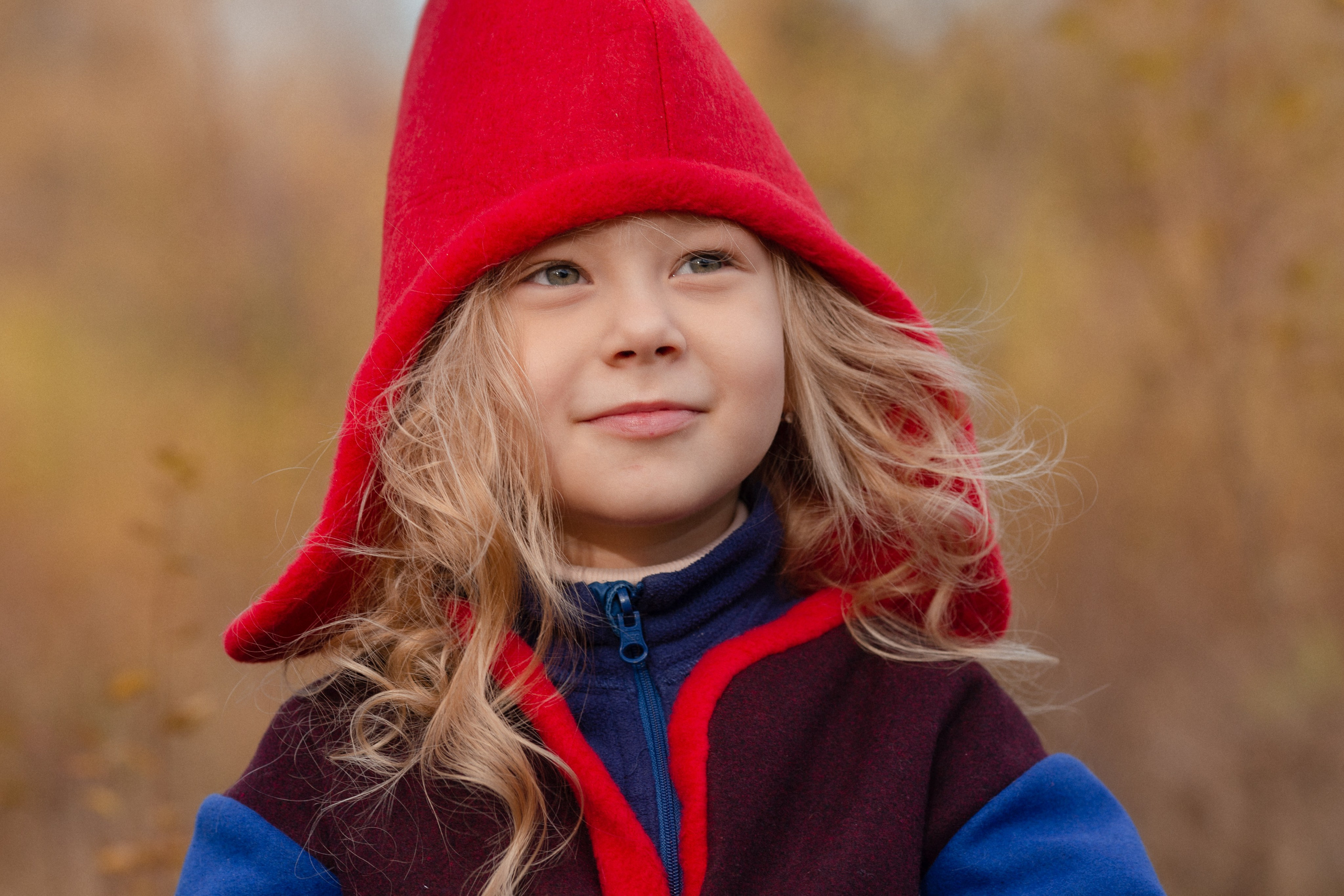 Лесные гномы