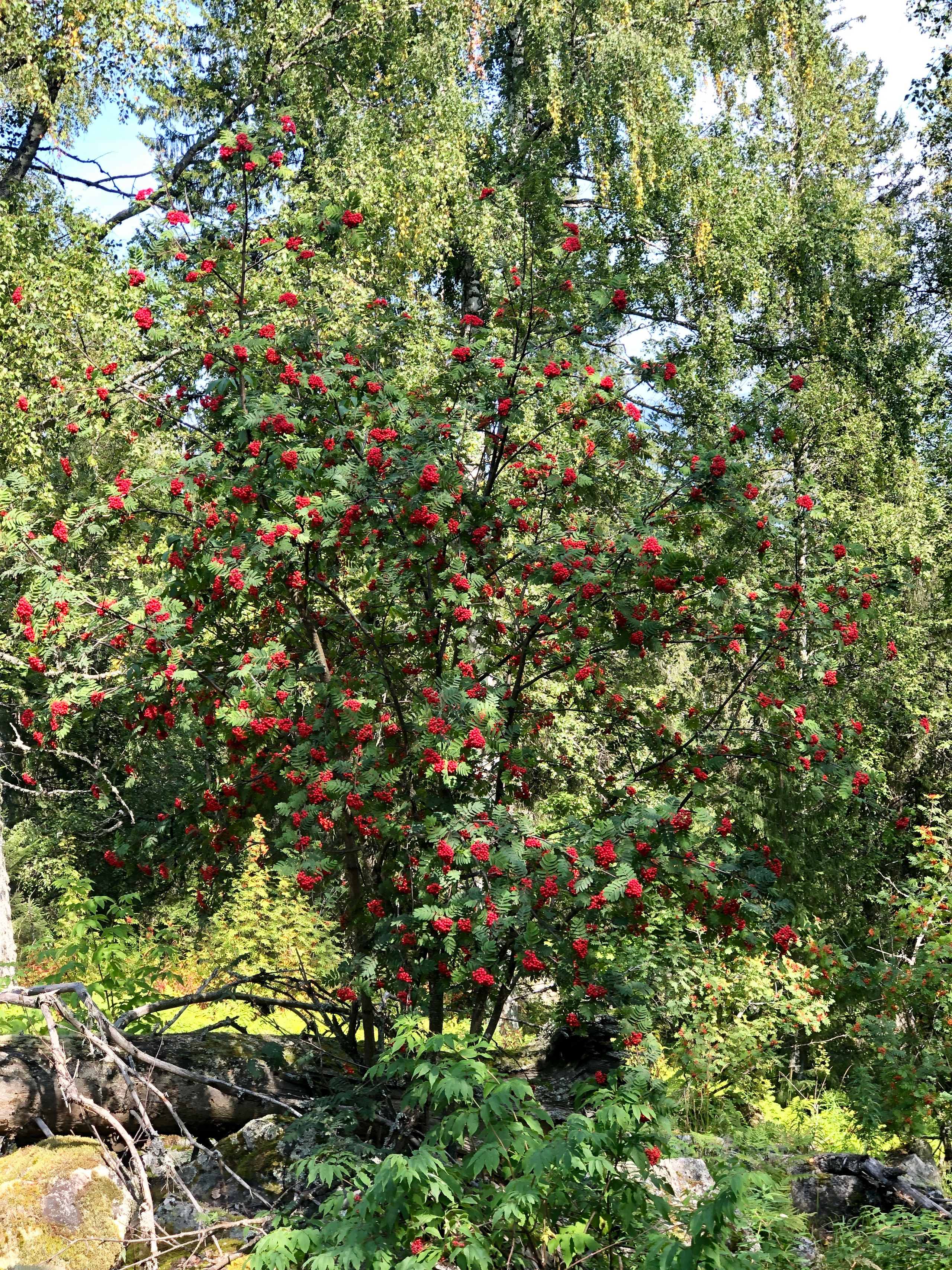 Тур на Пик «Уфа» из Уфы — Время приключений