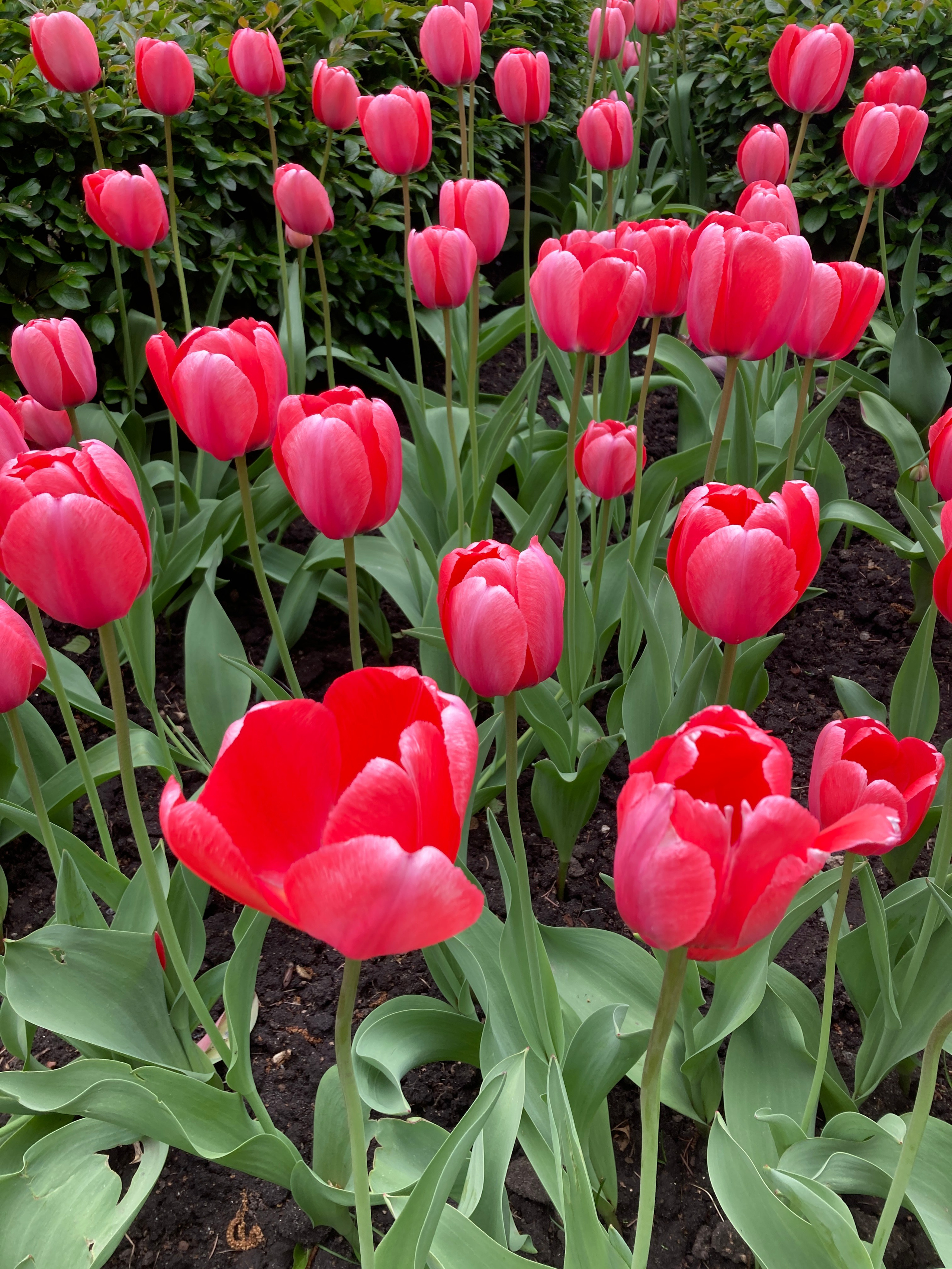 Идем на восток. Портретный фотограф Москва, репортаж и естественная постановка