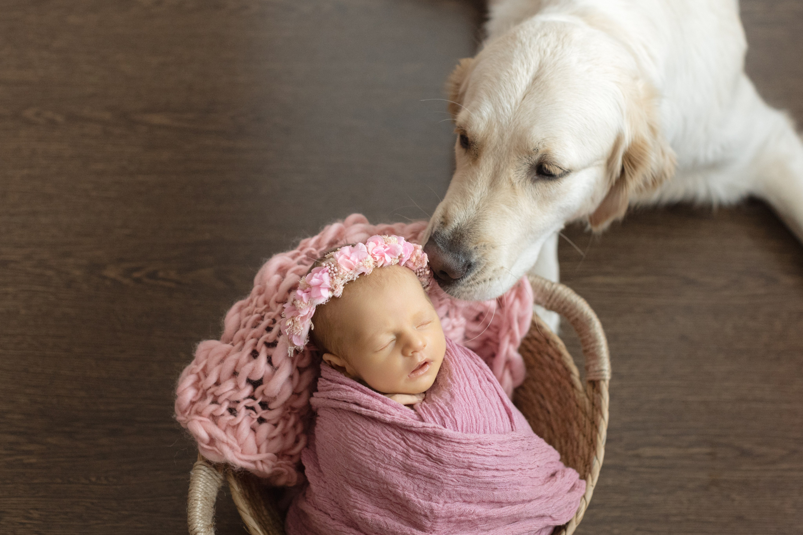 Фотосессия новорождённого на дому — Красноярск | Vetaphoto, с заботой о маме и малыше. Фотограф беременности и новорожденных в Красноярске Вета Ланская