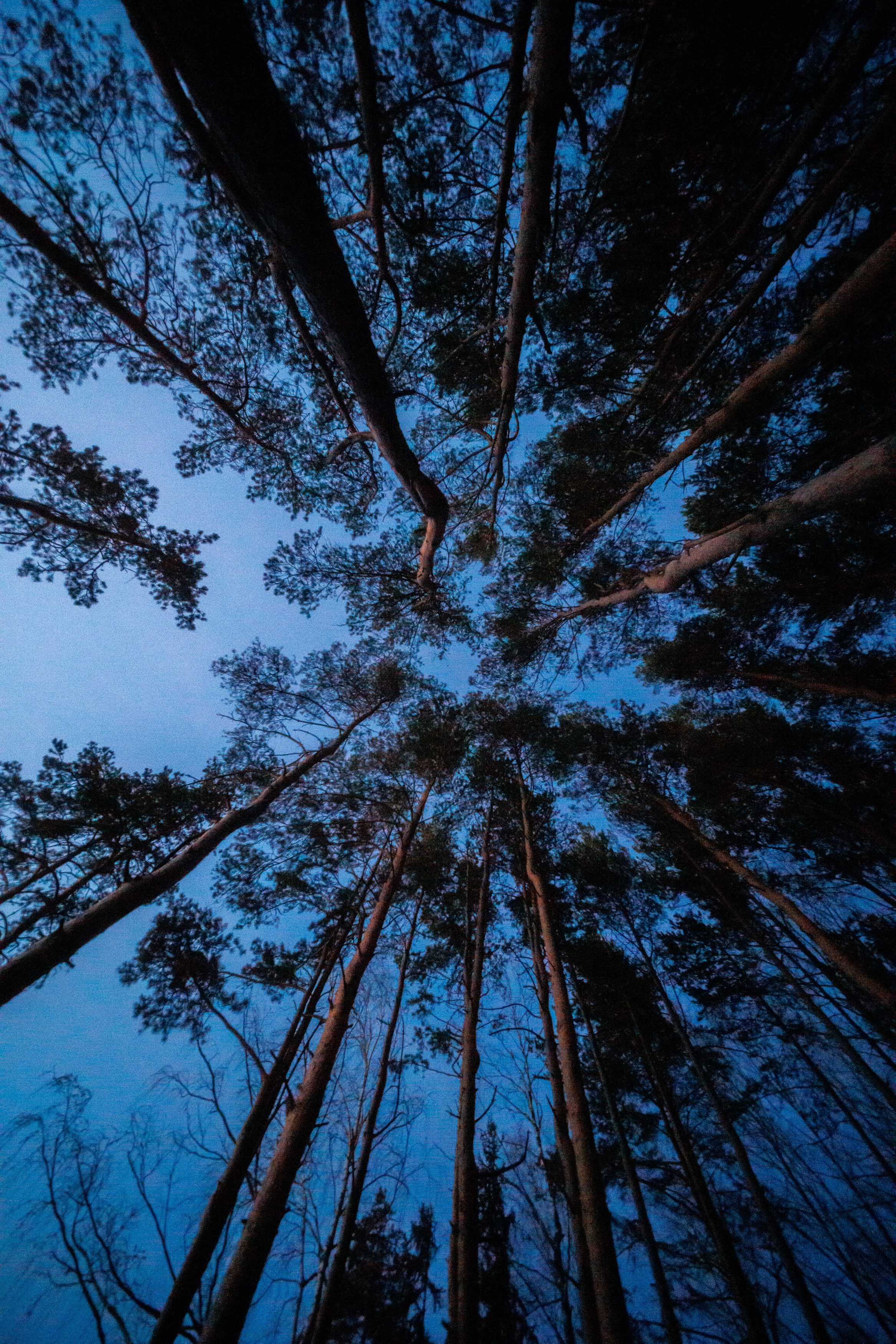 Мыс Любви в объятиях ночи. Владимир Петухов — фотограф в г. Кинешма. Оператор FPV