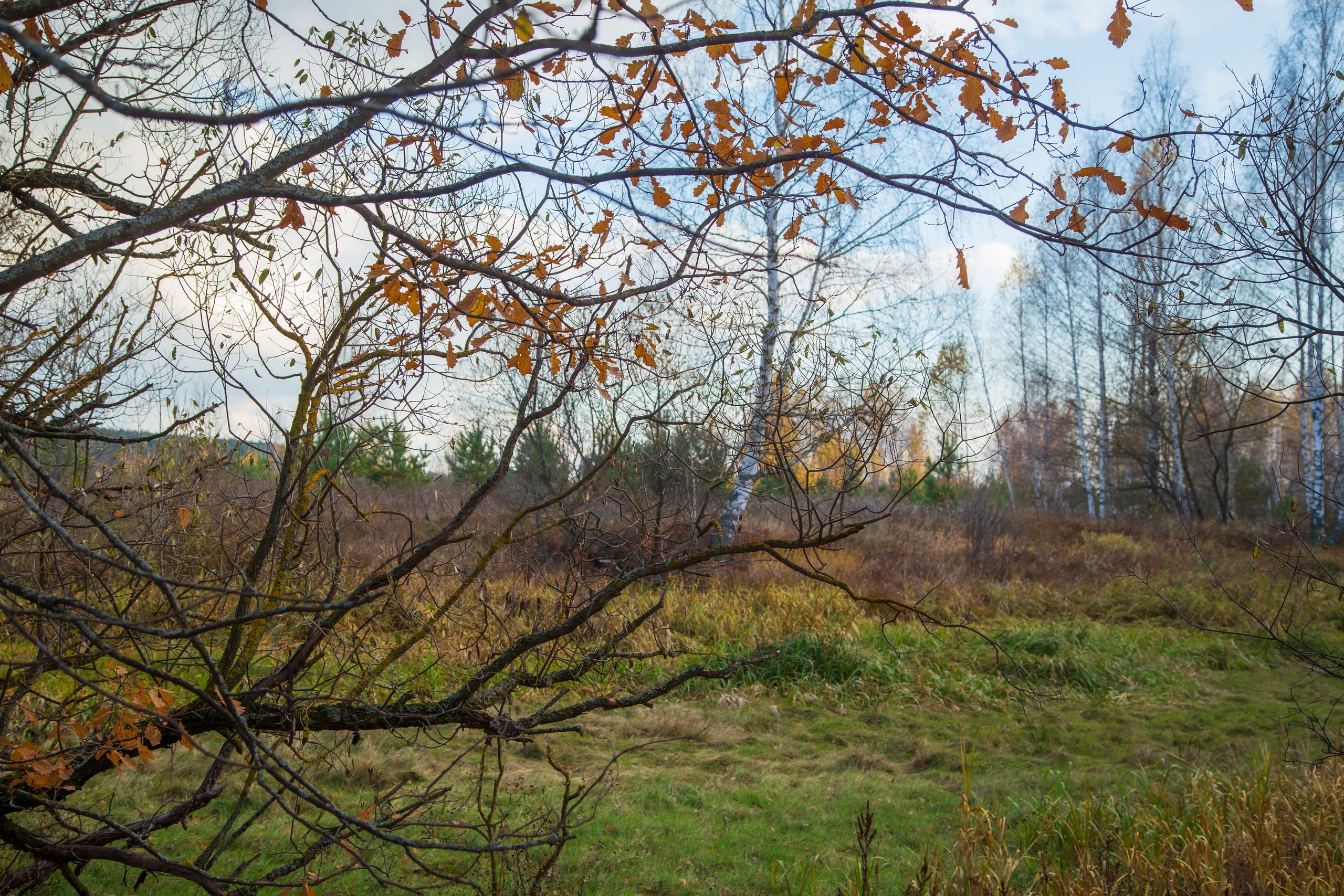 ТВОРЧЕСТВО. Творческая студия АЛНИфото
