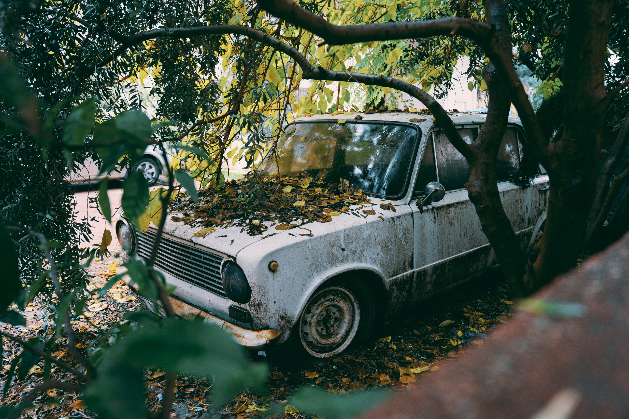 Ликийская тропа фототур турция.