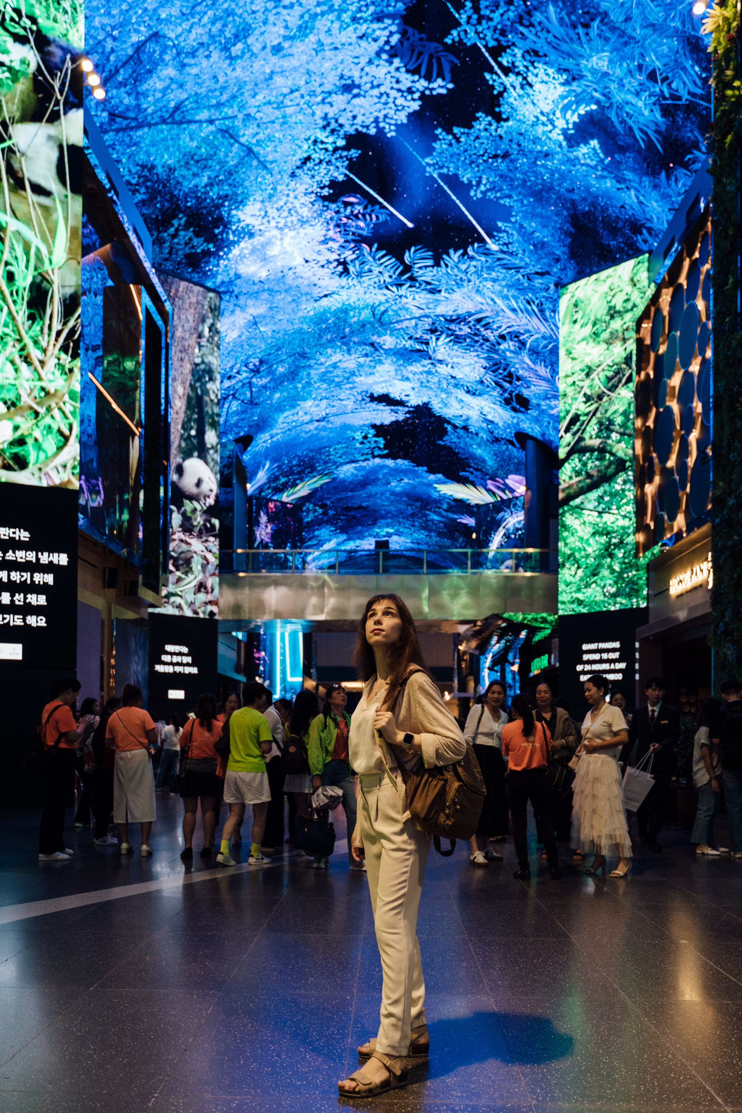 Южная Корея