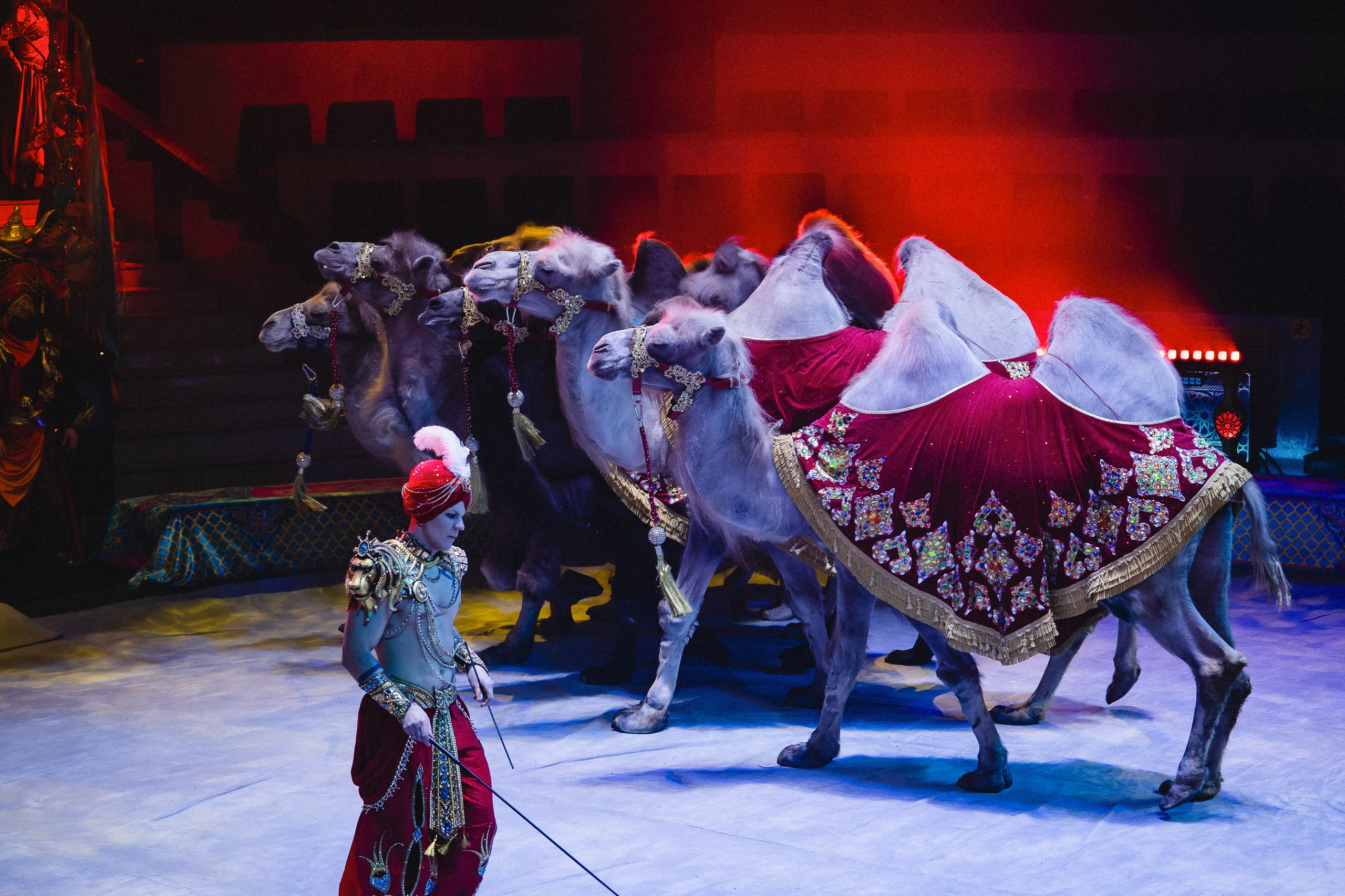 Пресс-показ шоу «Песчаная Сказка». Воробьева Ксения — Спортивный и танцевальный фотограф Новосибирск