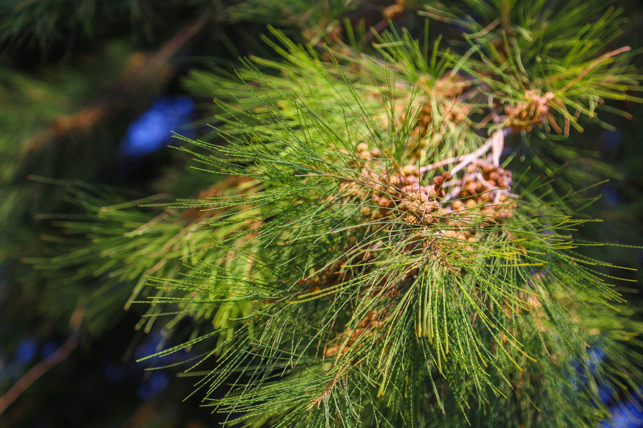 Испания: провинция Мурсия — первая встреча. Дарья Письменюк / Darya Leitstern — фотограф, музыкант, журналист, путешественник