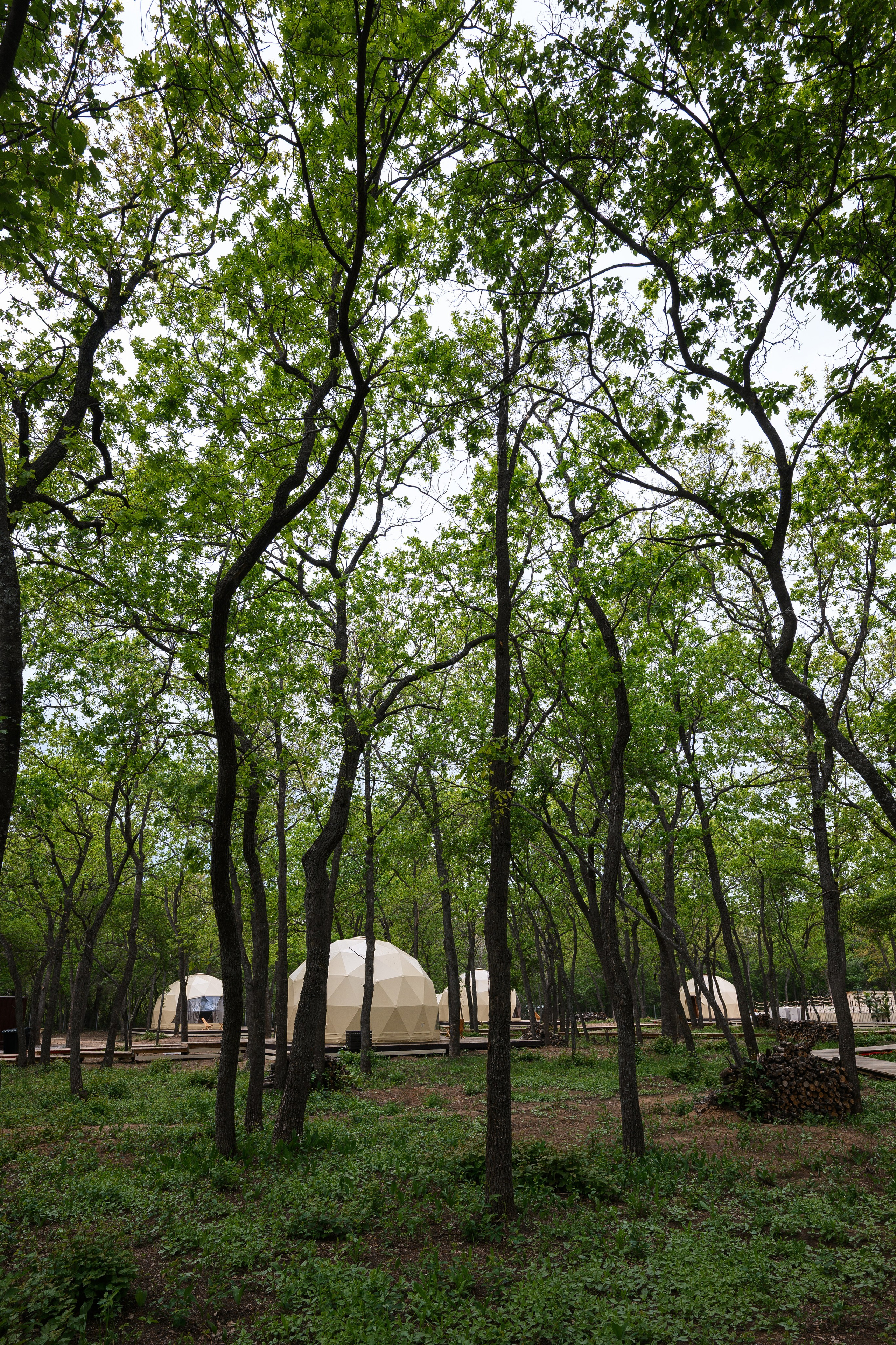 Интерьерная фотосъемка в Саратове и Энгельсе. Фотограф Валерия Голубева (Миронова)