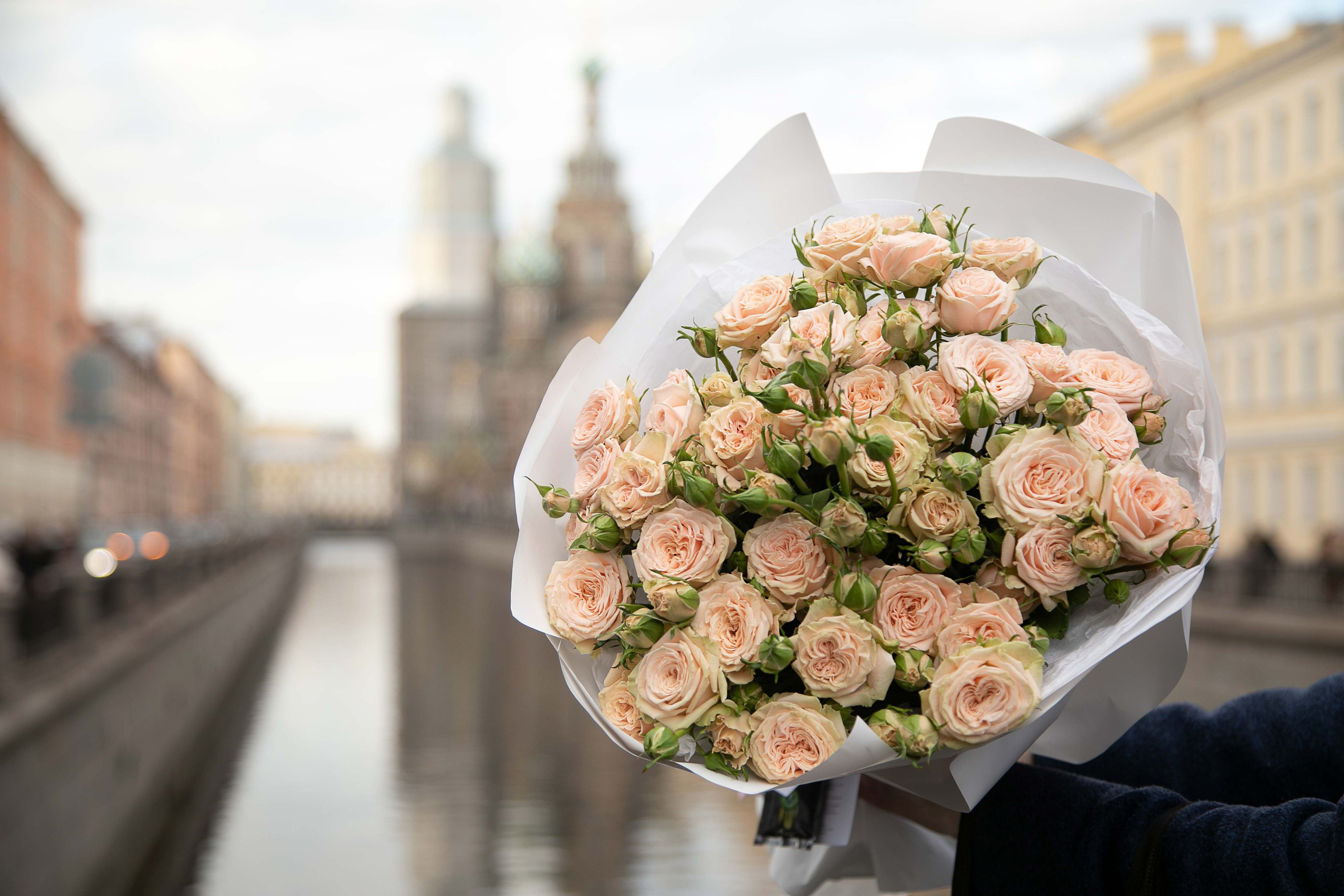 Семейный и детский фотограф в Санкт-Петербург. Natalia Fadel