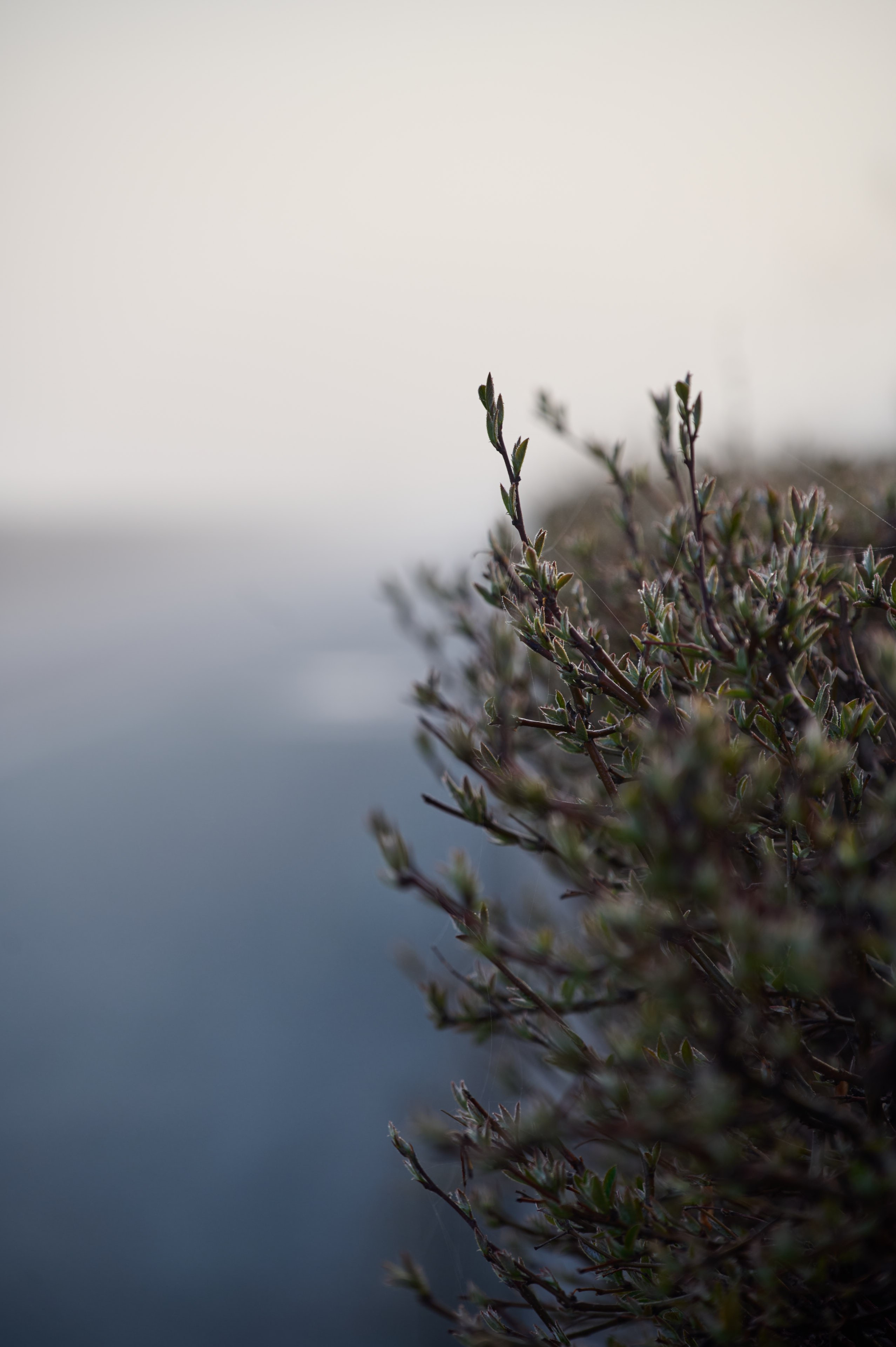 Туман на набережной Волги в Самаре, 8 апреля 2025 года