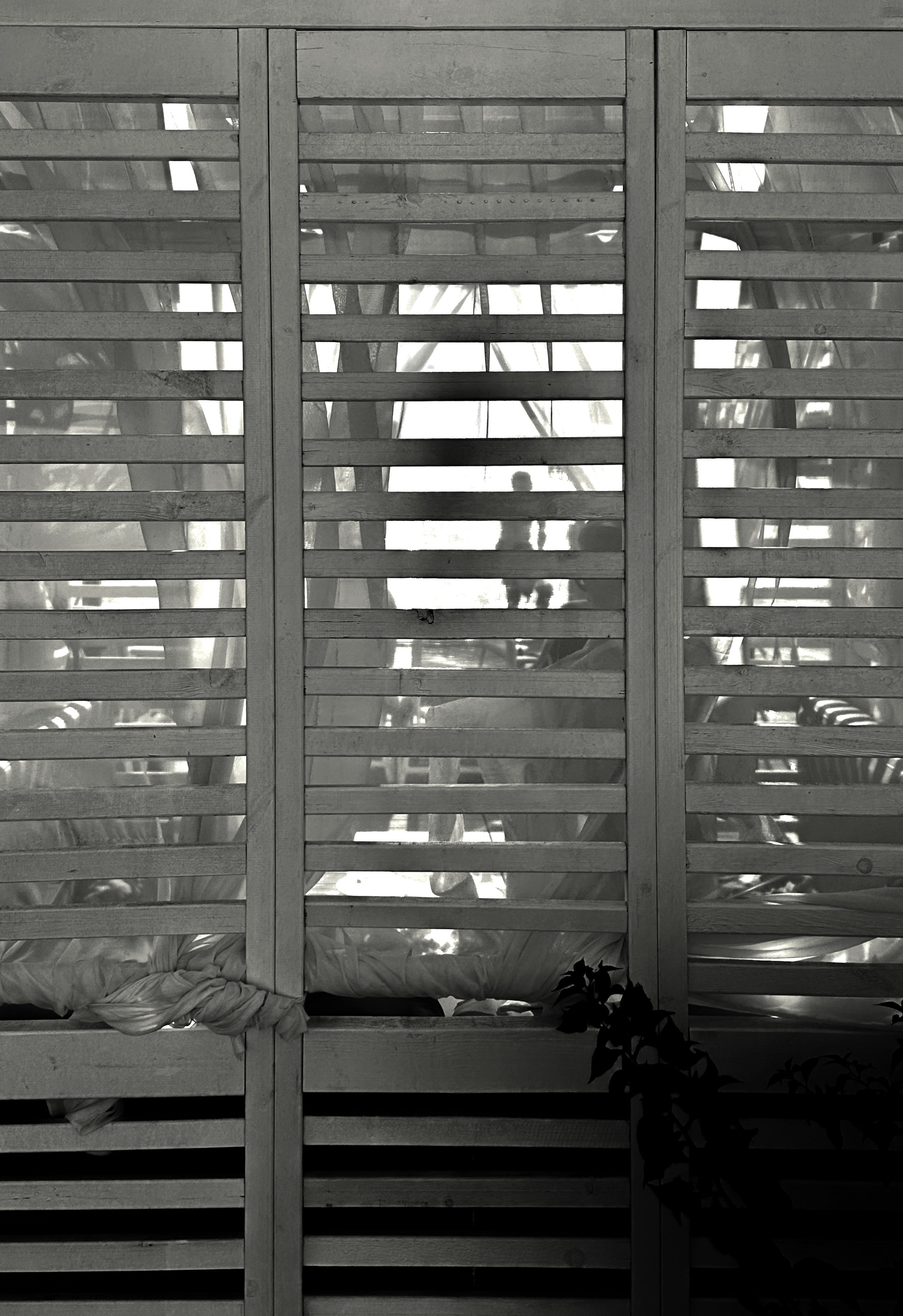 Черно-белая жара. Колесникова Мария Арт-фотограф