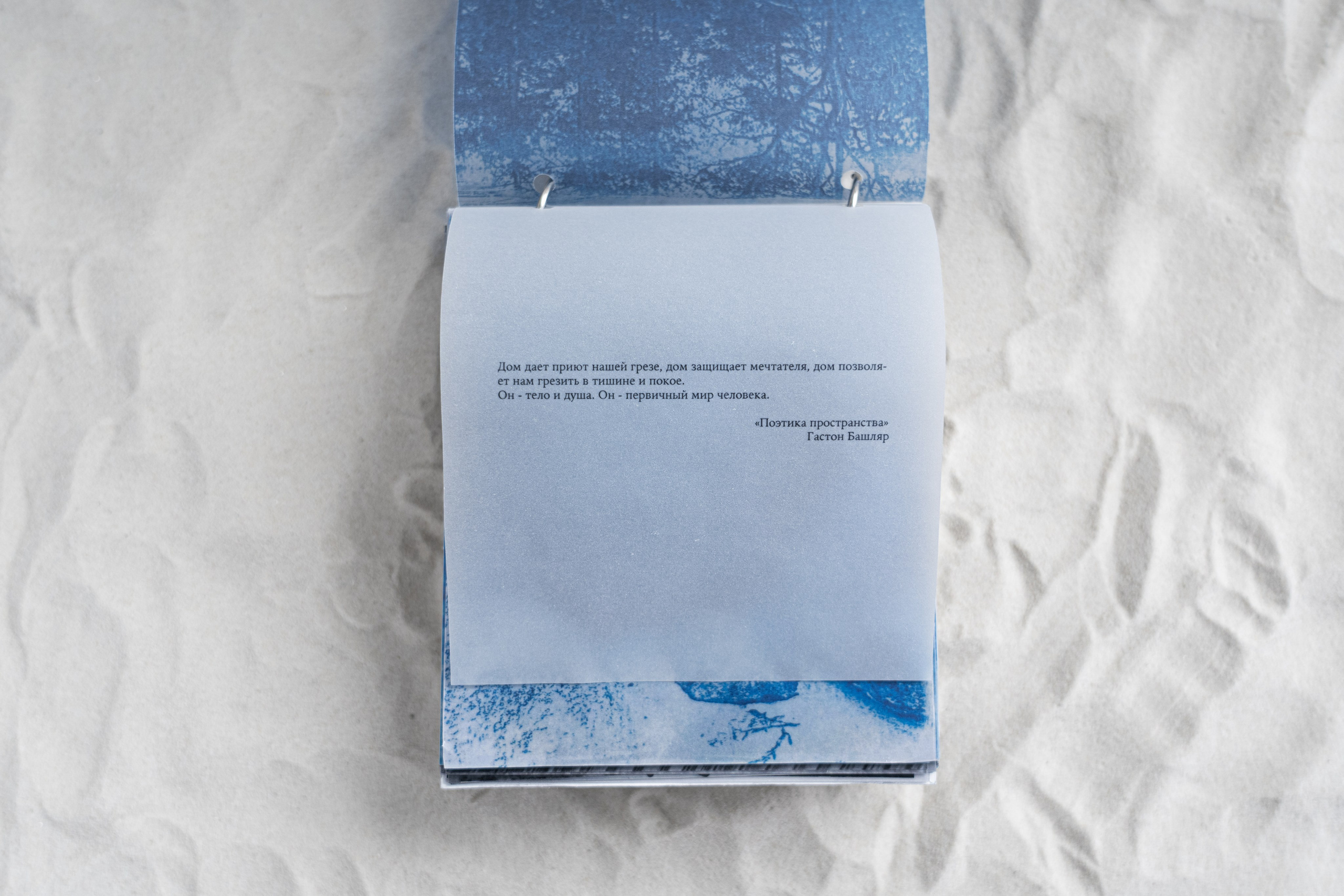 Укрытие. Катрин Эдельвак