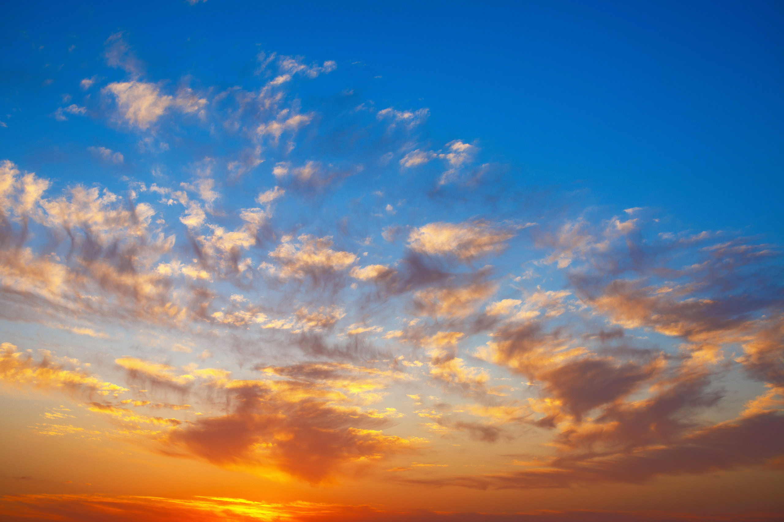 Архив. Свадебный, семейный и школьный фотограф в Сызрани Максим Баталов