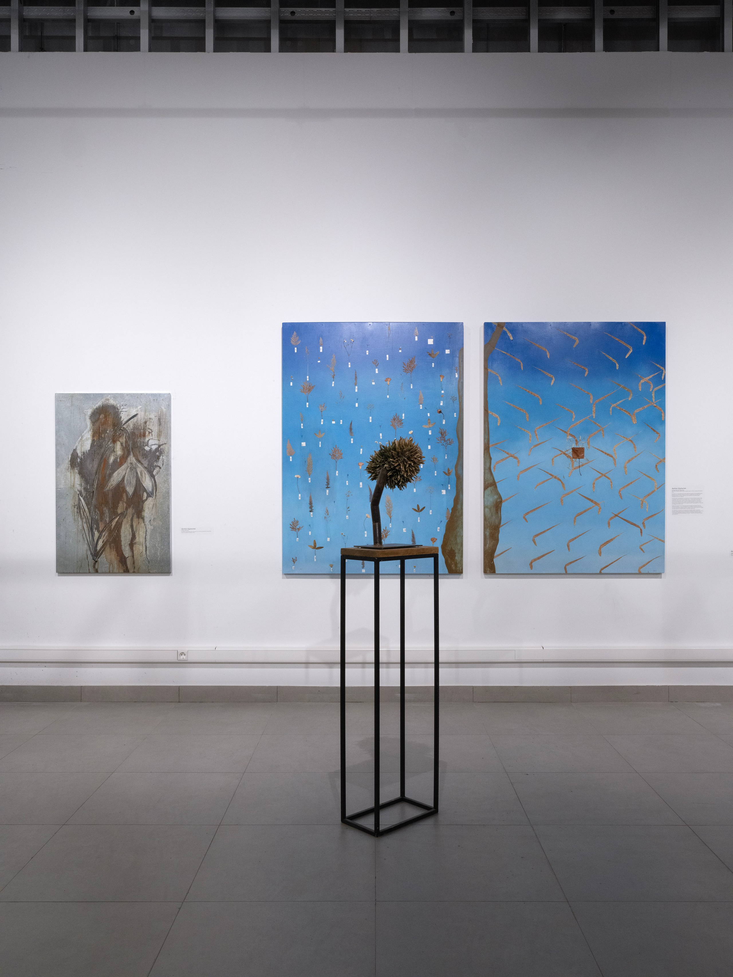 Дивный сад. Елизавета Иванова — независимый куратор, культуролог, исследователь художественных практик, художник