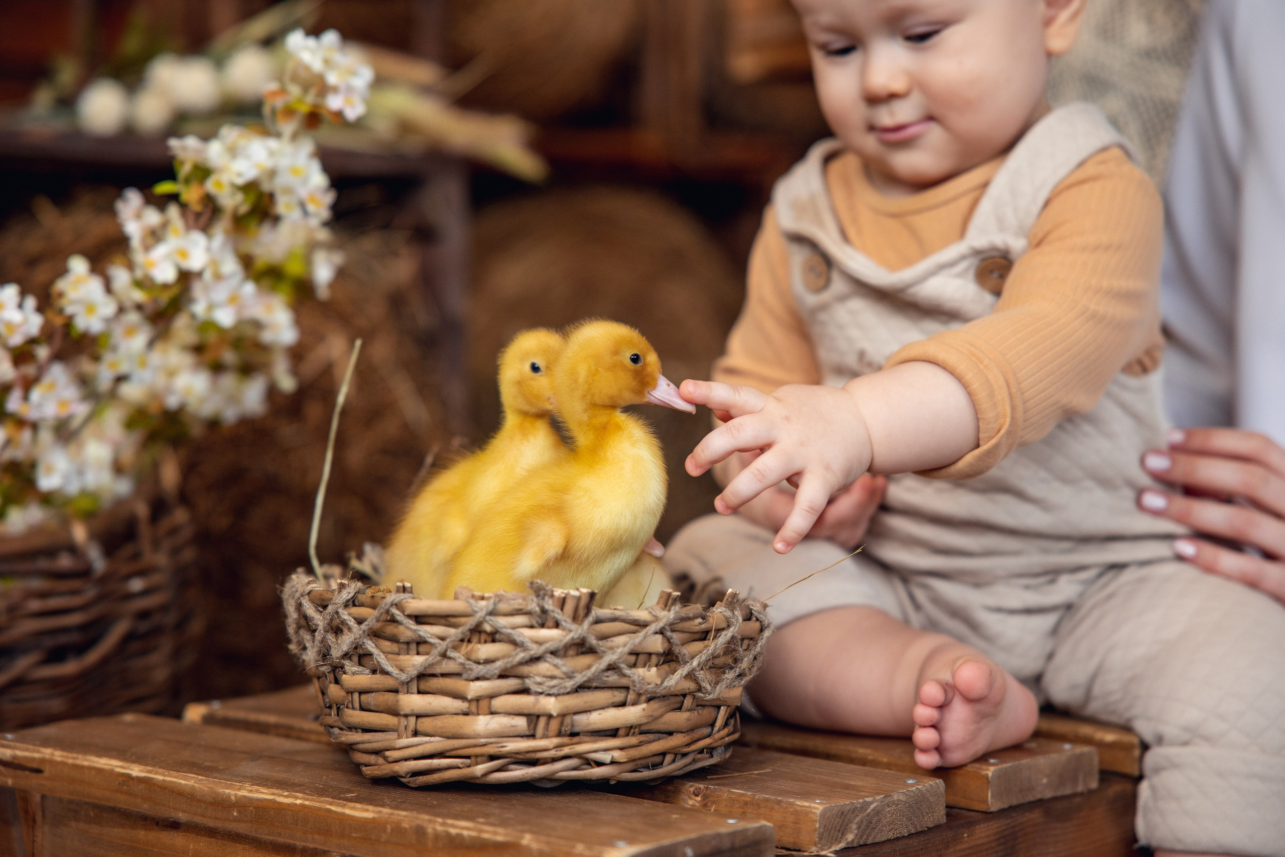 СЕМЬЯ-все самое важное. Дарья Бухреева — фотограф, видеограф и фототерапевт. Москва и мир